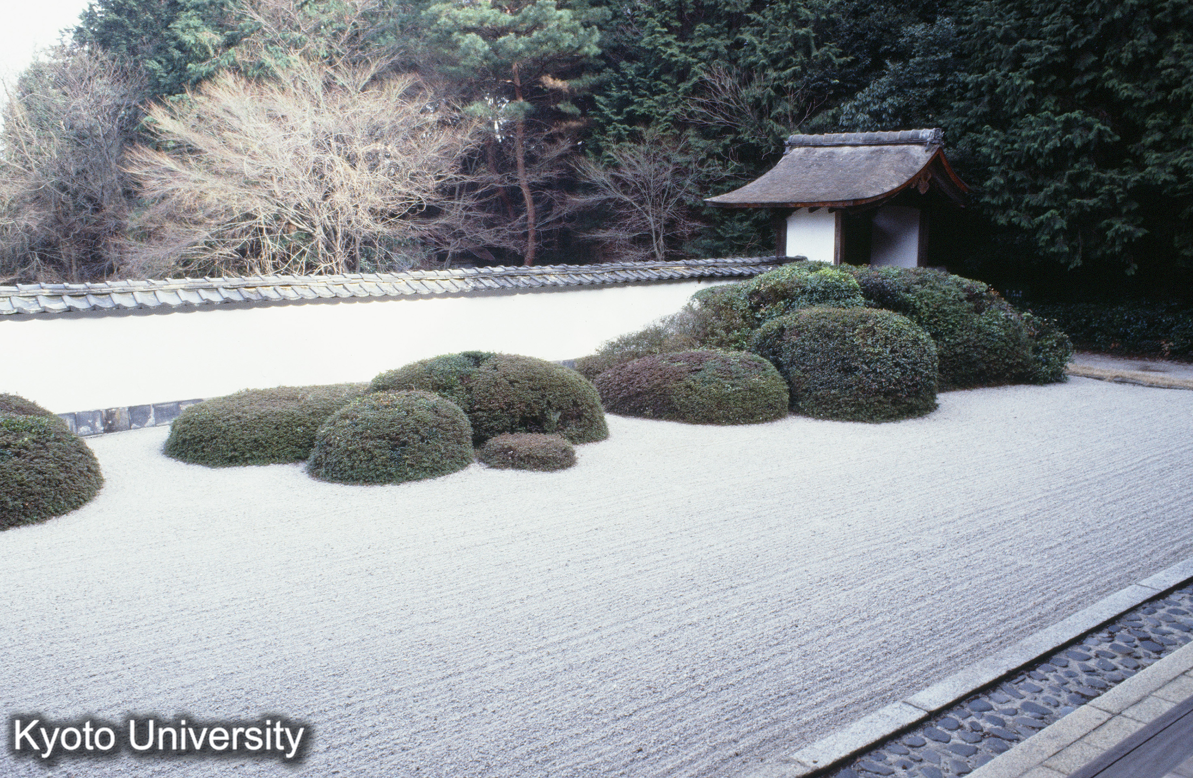 ［スライド］ (1)