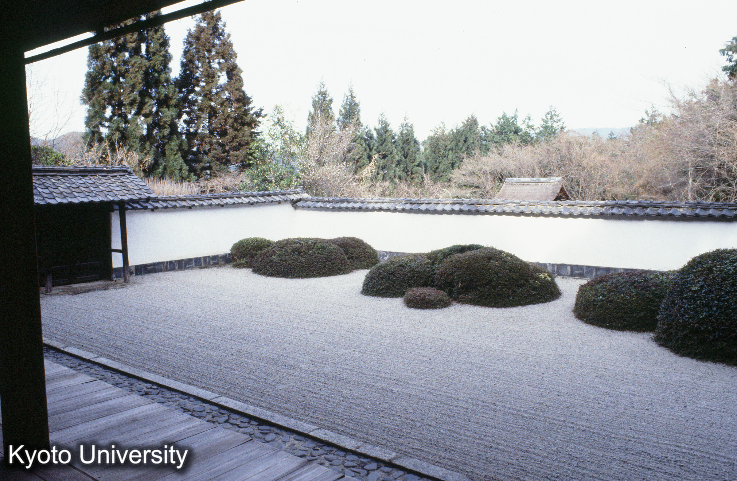 ［スライド］ (1)