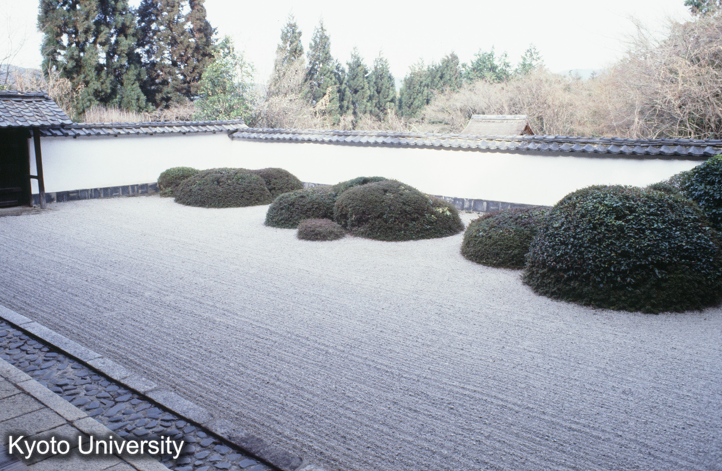 ［スライド］ (1)