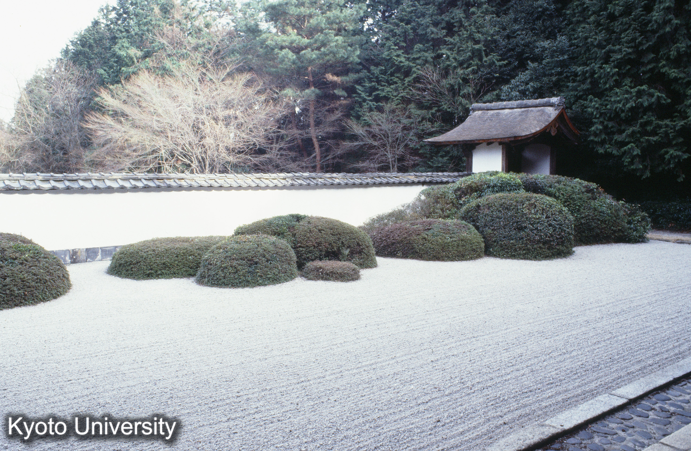 ［スライド］ (1)