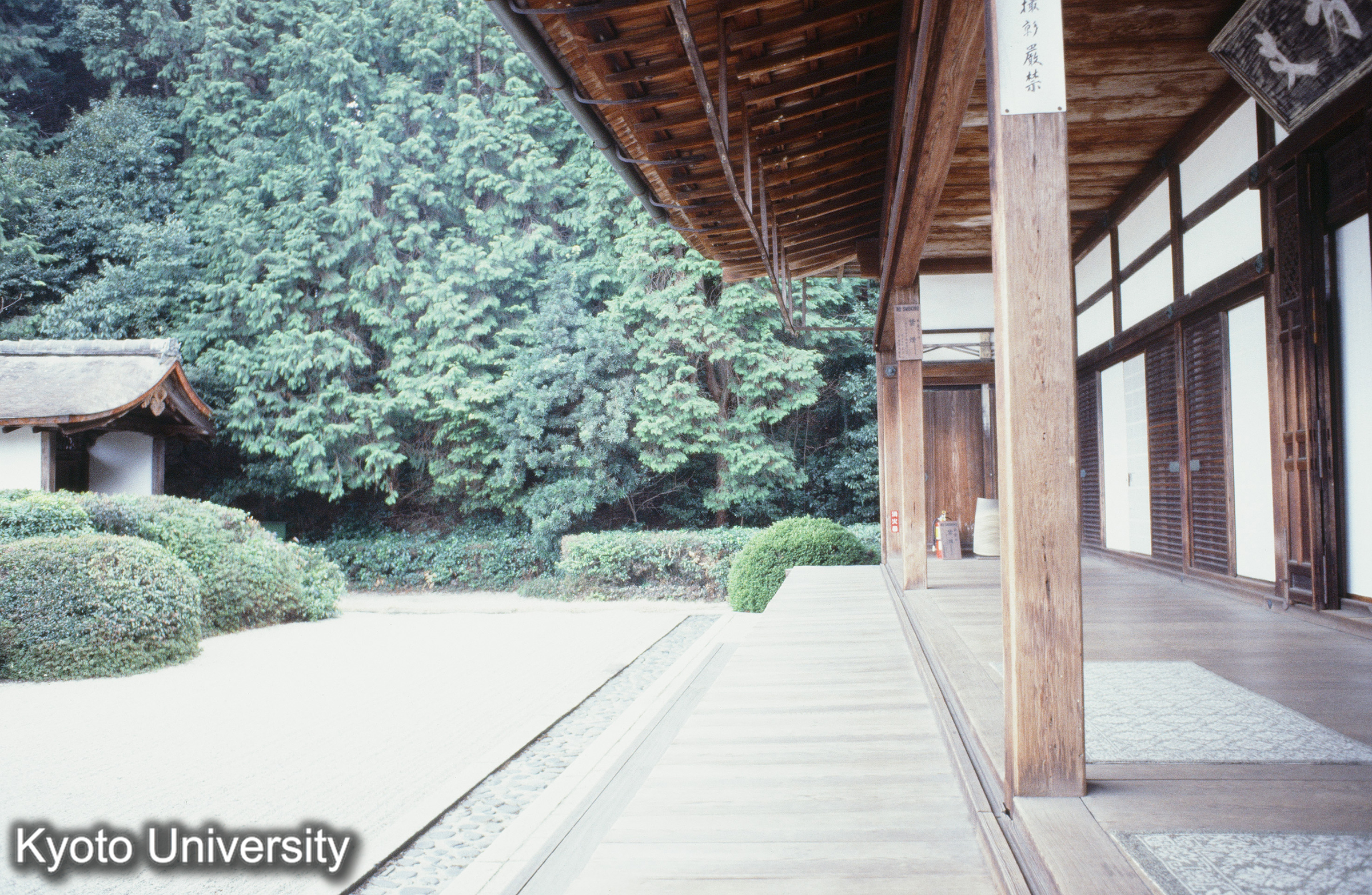 ［スライド］ (1)