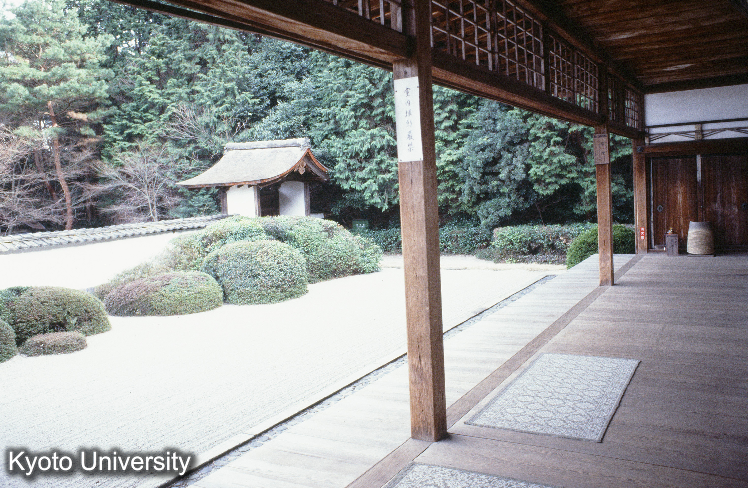 ［スライド］ (1)