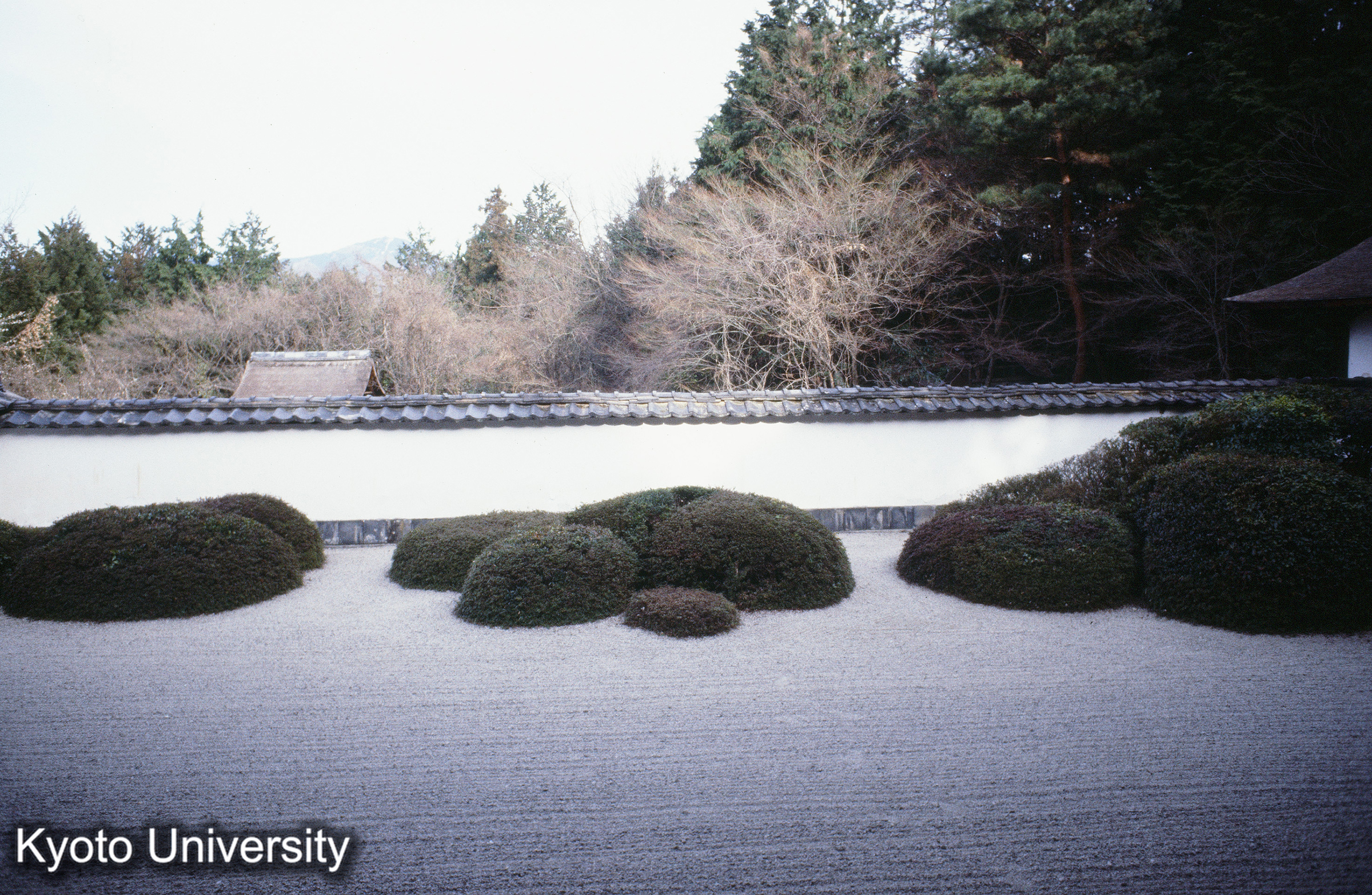 ［スライド］ (1)