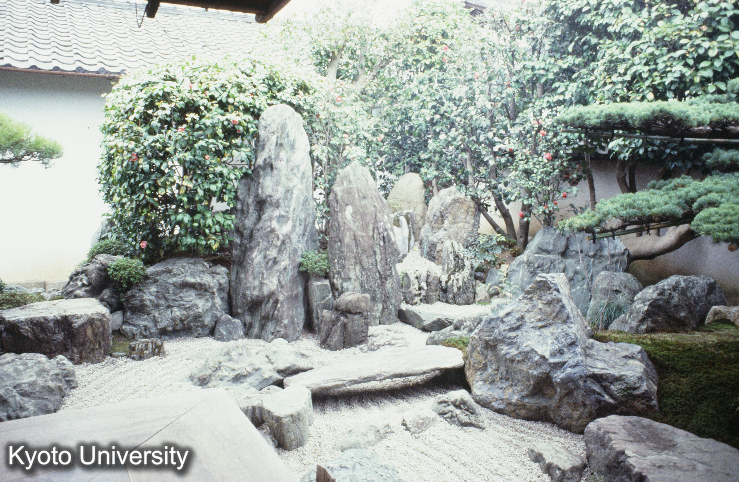 ［スライド］ (1)