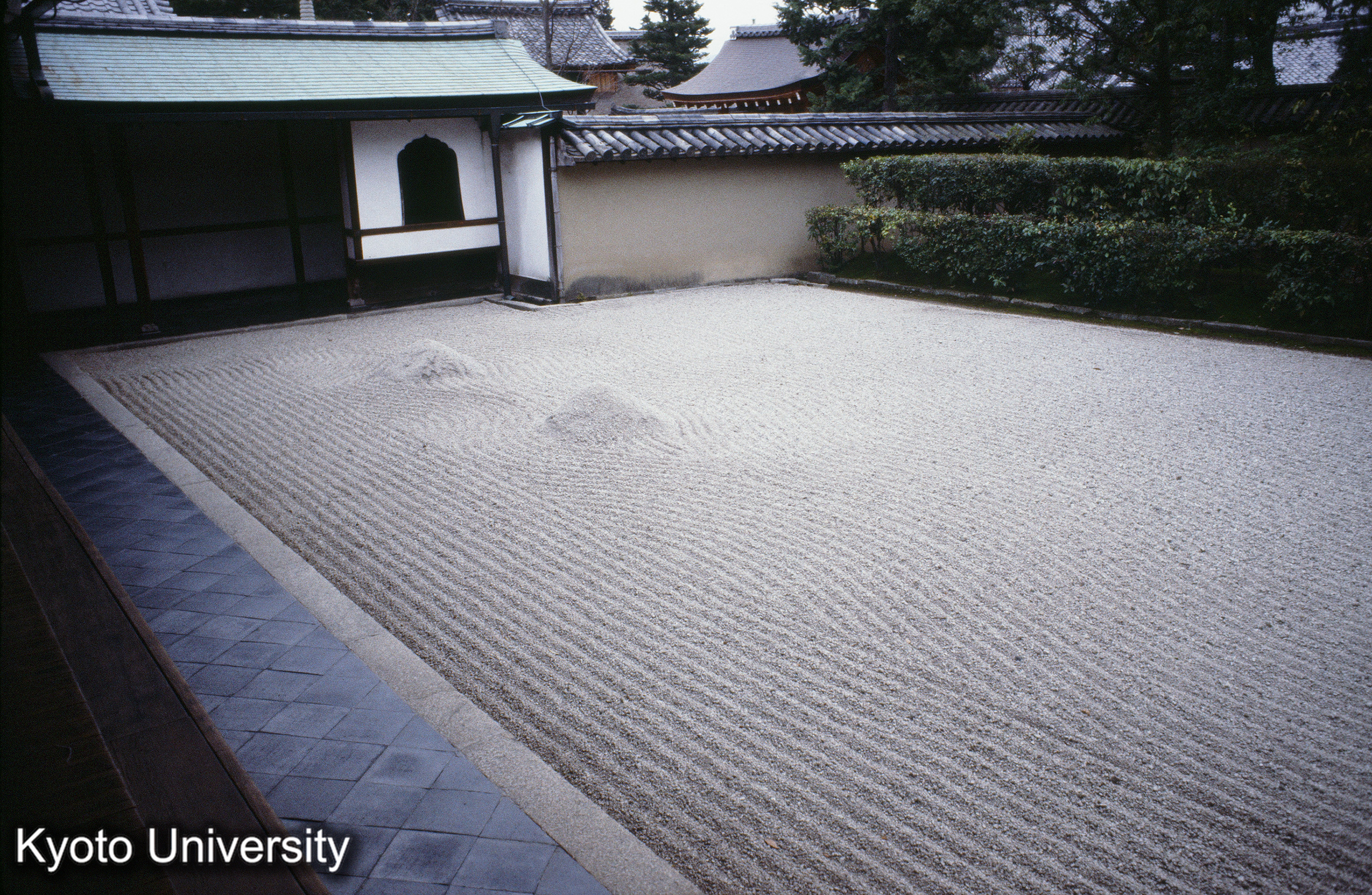 ［スライド］ (1)