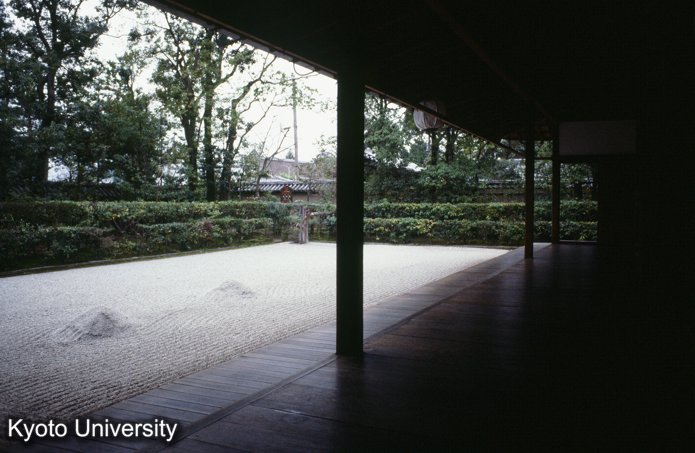 ［スライド］ (1)