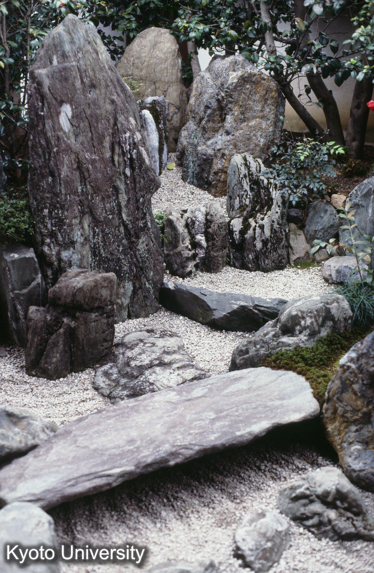 ［スライド］ (1)