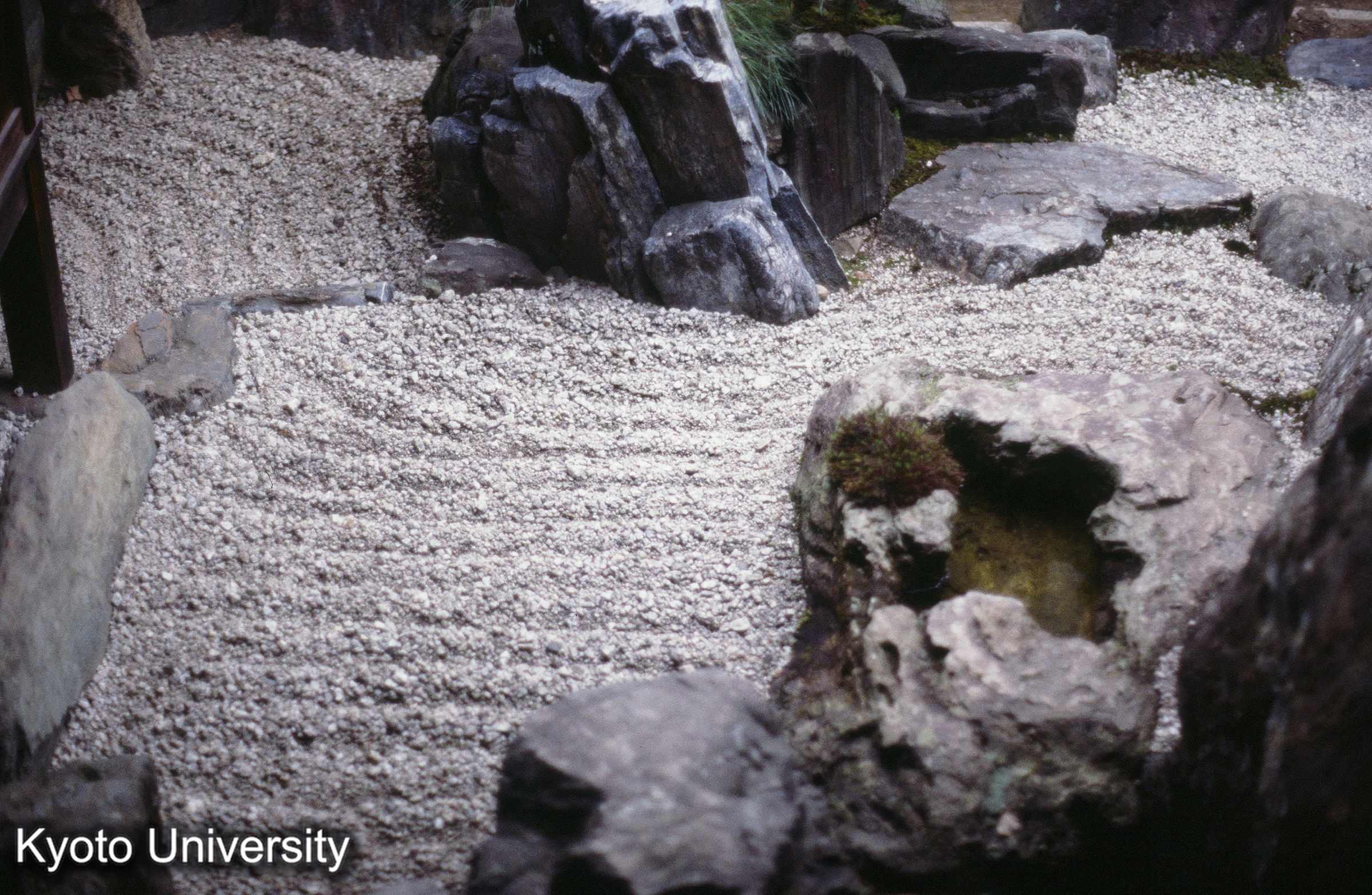 ［スライド］ (1)