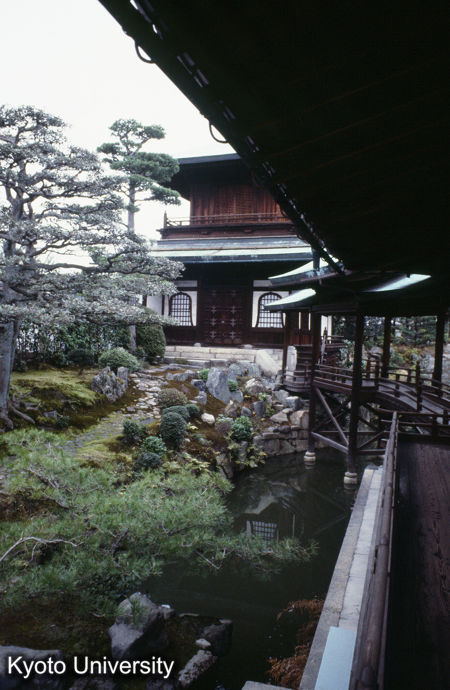 ［スライド］ (1)