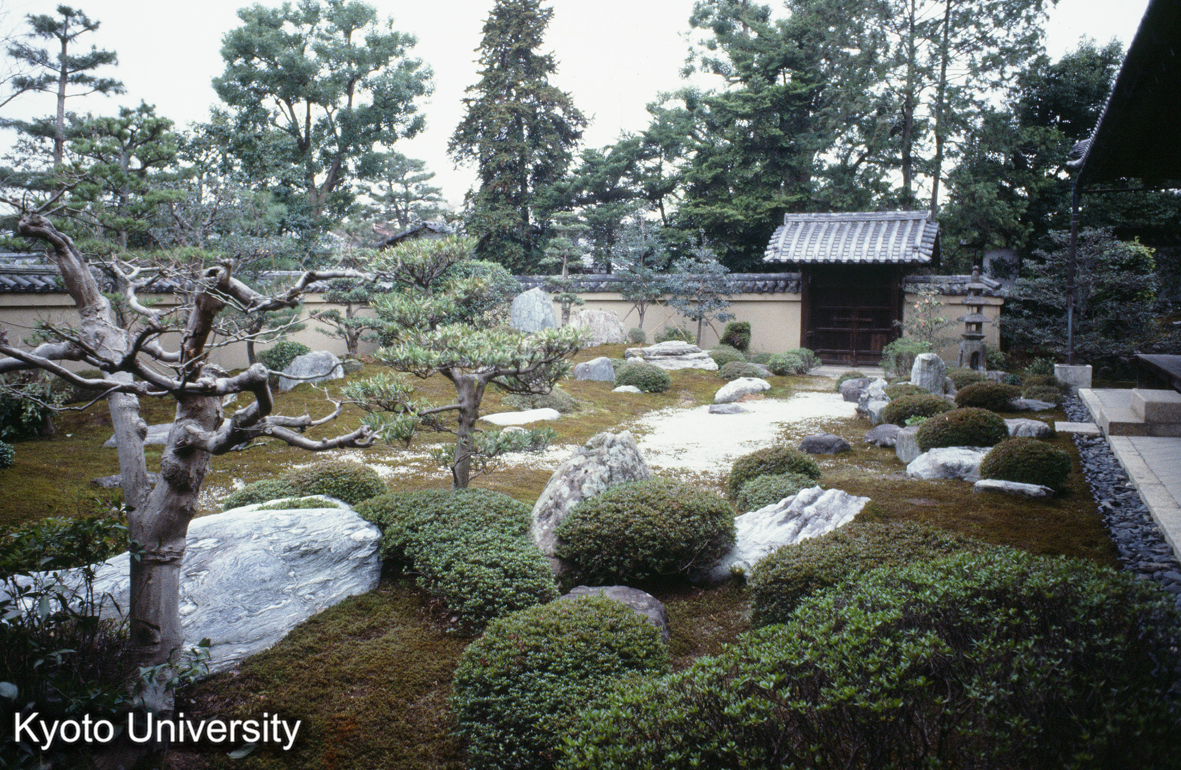 ［スライド］ (1)