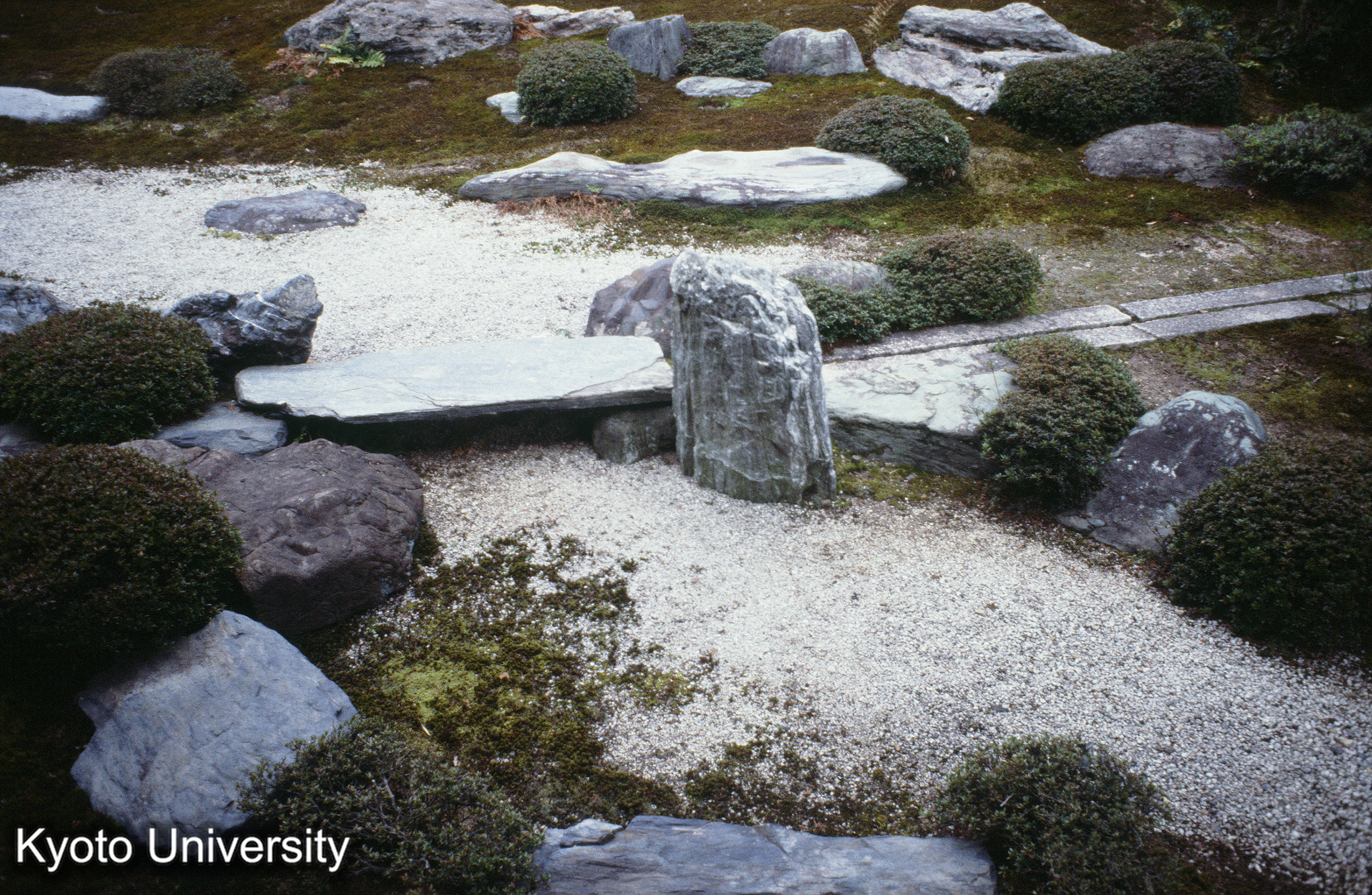 ［スライド］ (1)