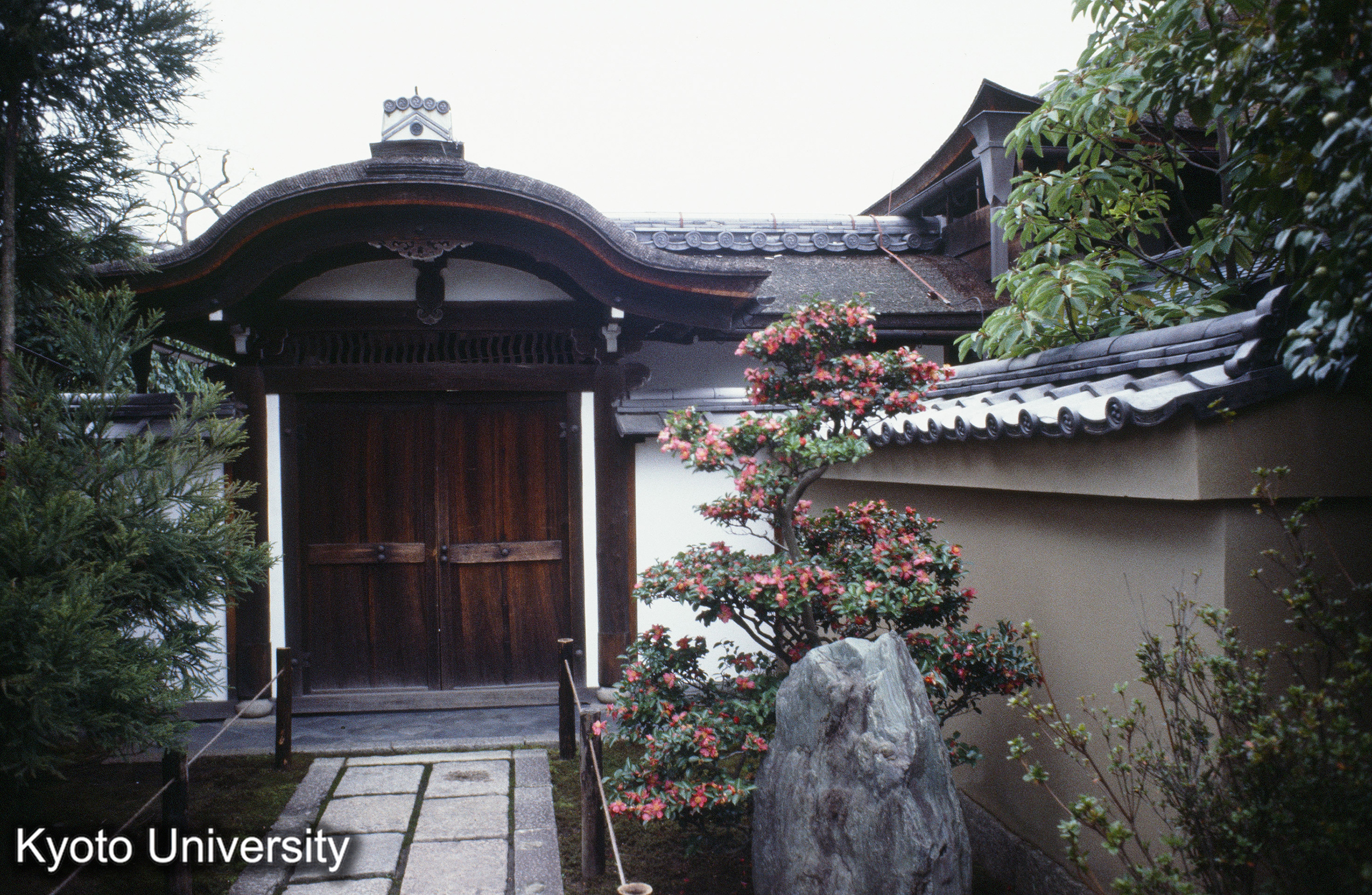 ［スライド］ (1)