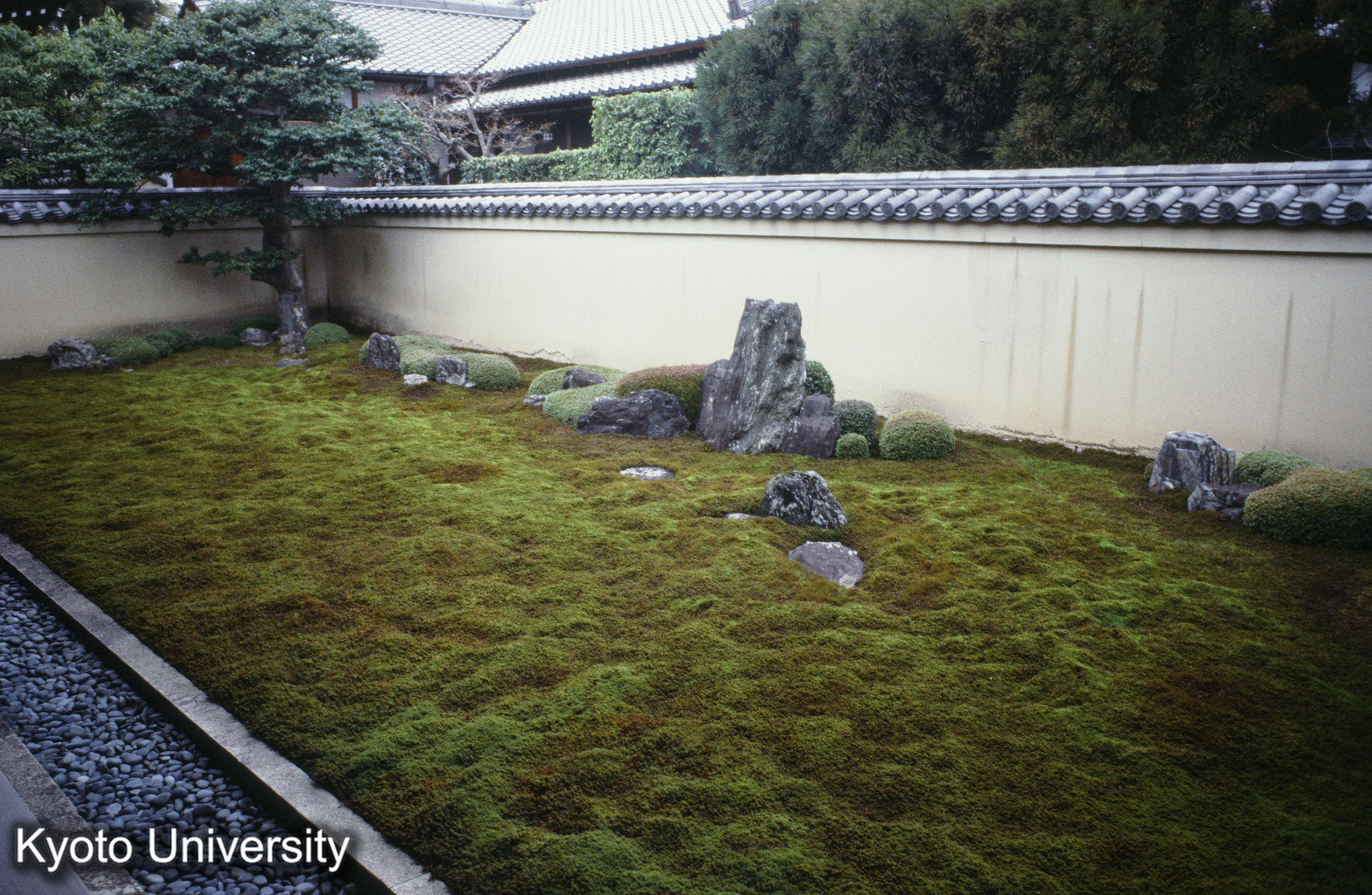 ［スライド］ (1)