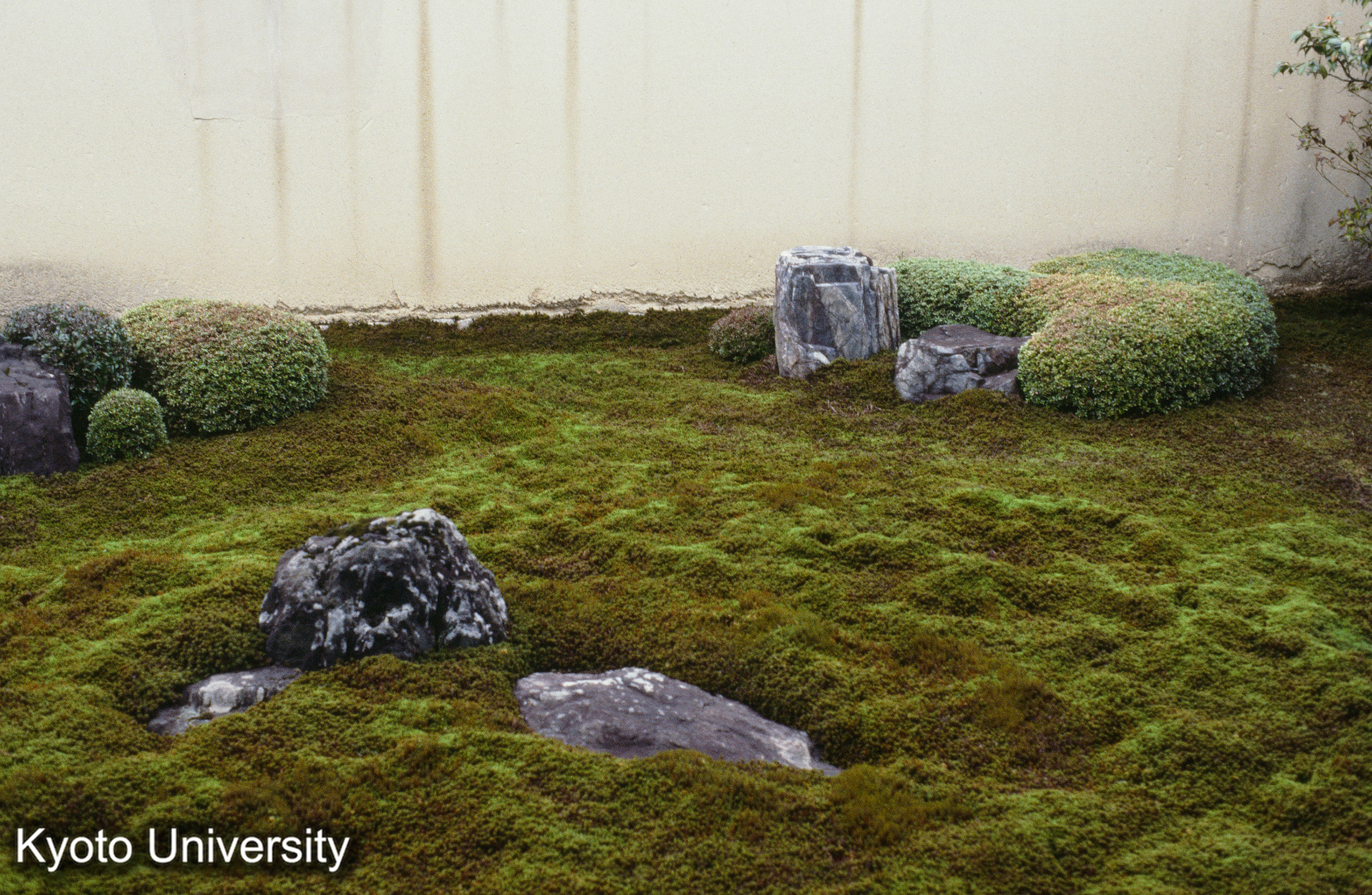 ［スライド］ (1)