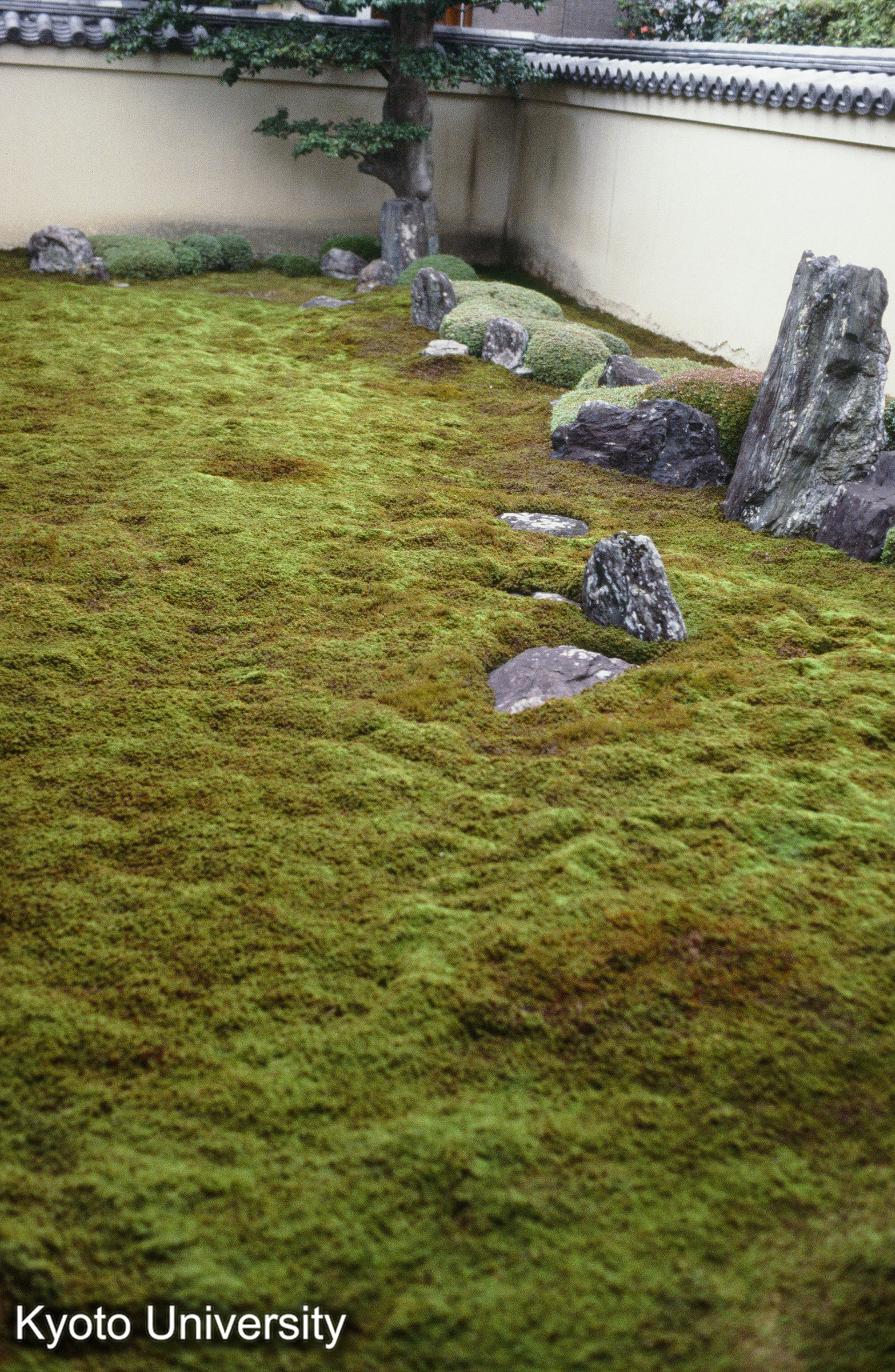 ［スライド］ (1)