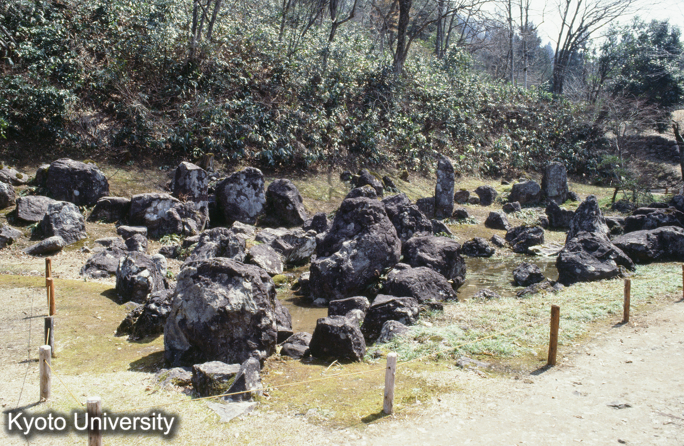 ［スライド］ (1)