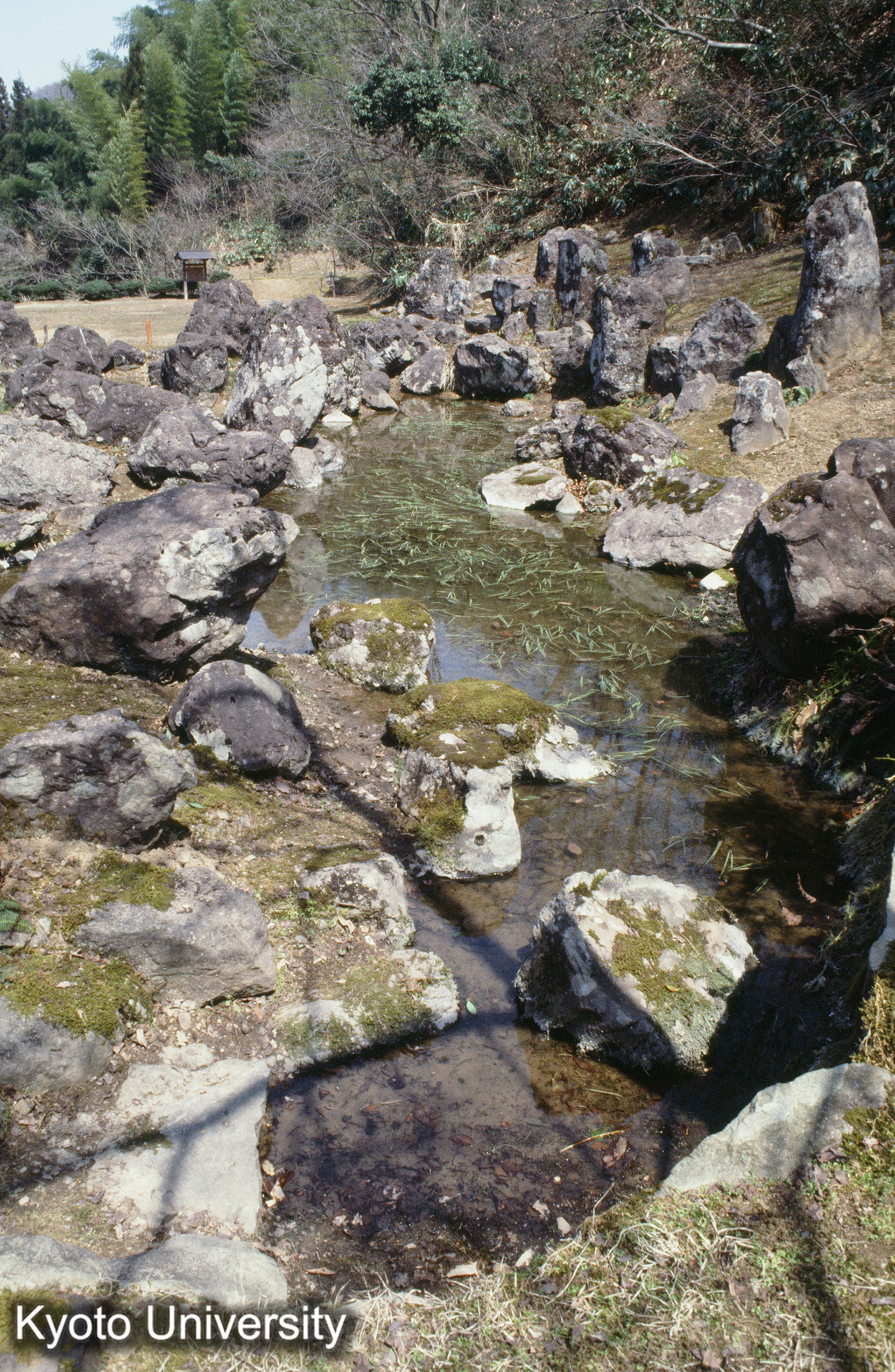 ［スライド］ (1)