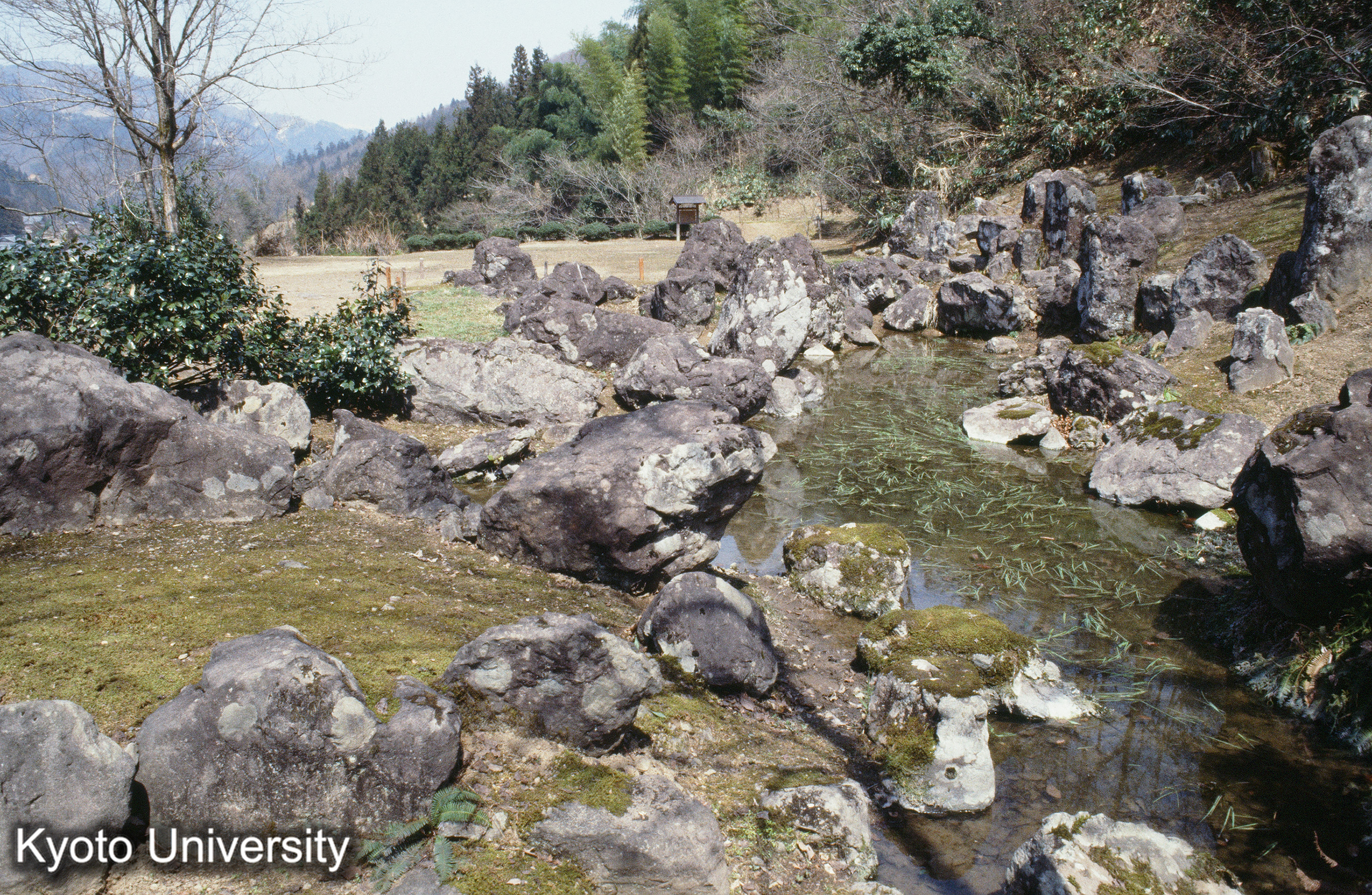 ［スライド］ (1)