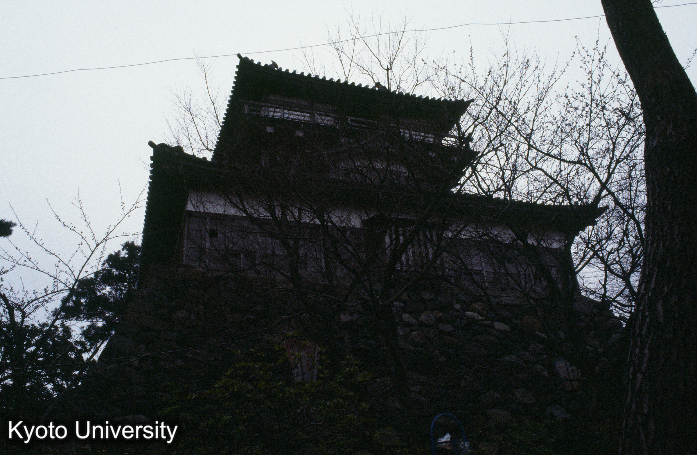 ［スライド］ (1)