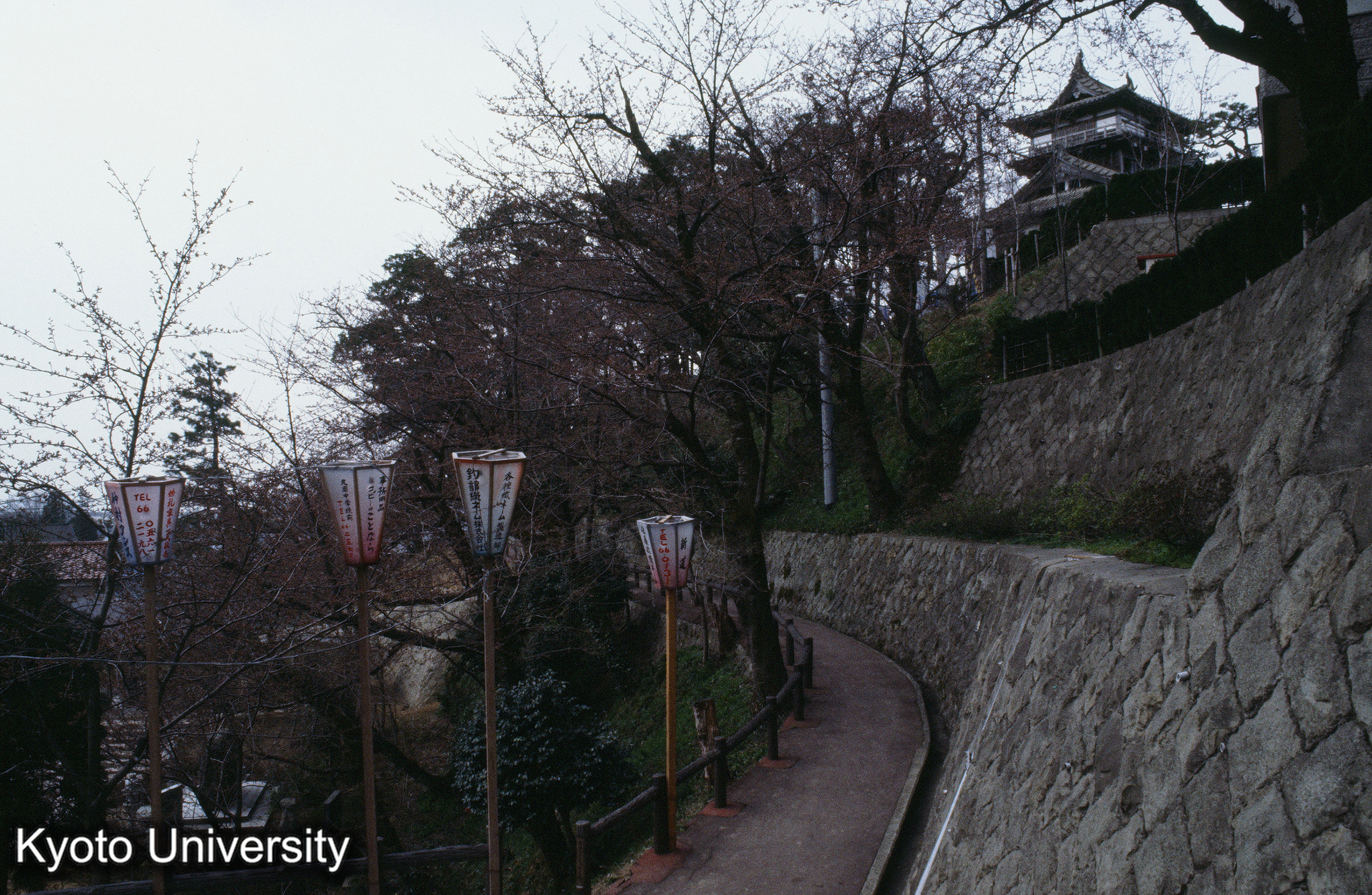 ［スライド］ (1)