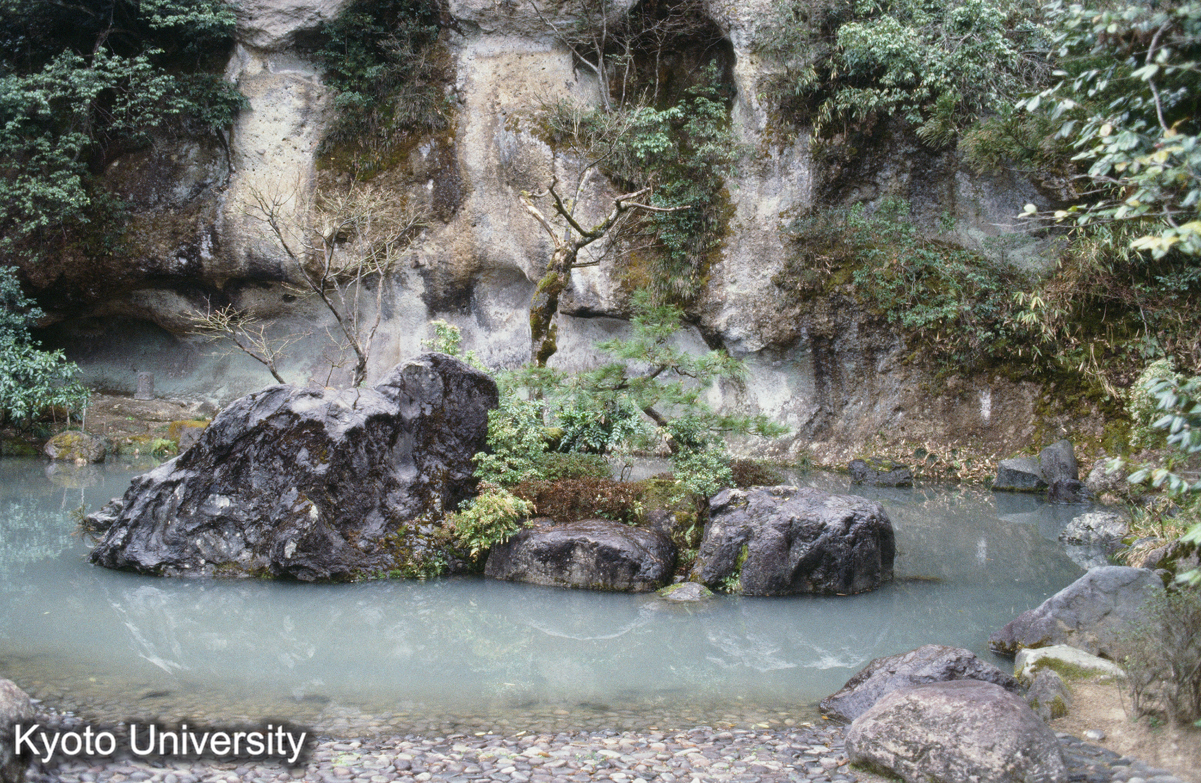 ［スライド］ (1)