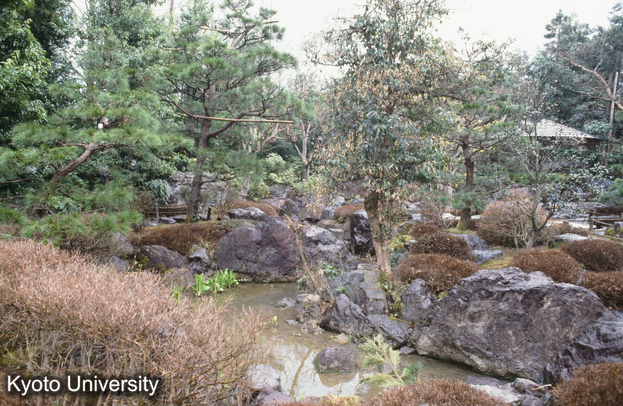 ［スライド］ (1)