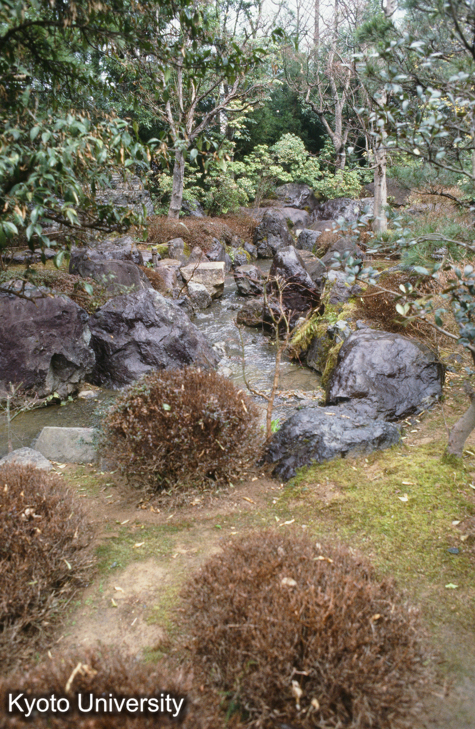 ［スライド］ (1)