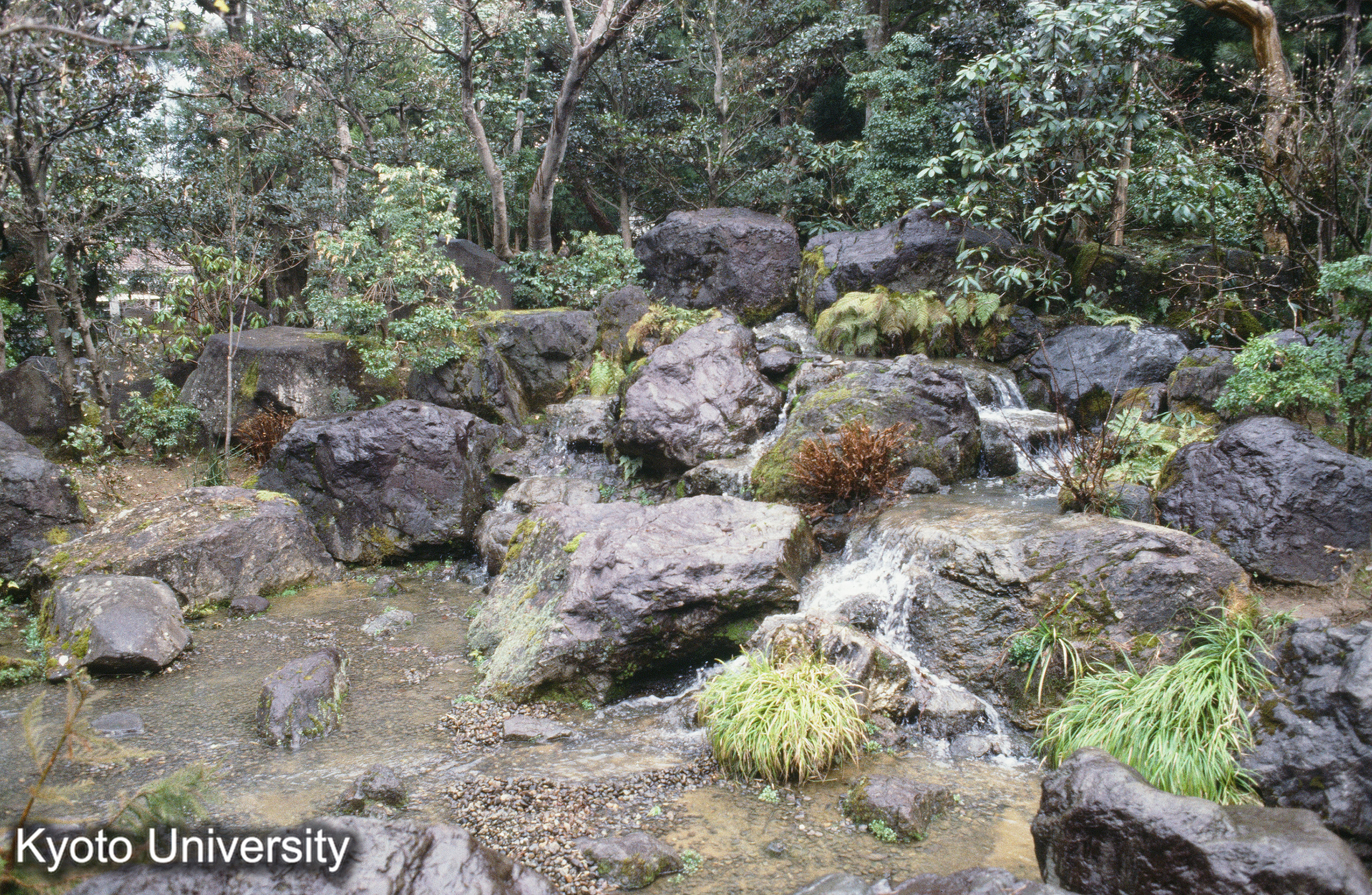 ［スライド］ (1)