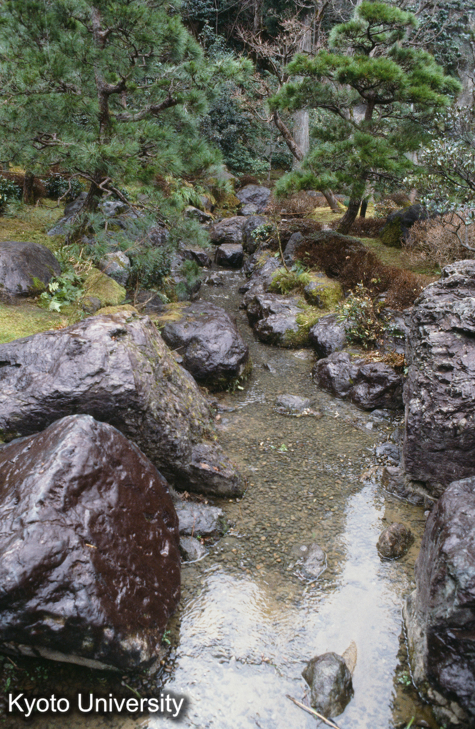 ［スライド］ (1)