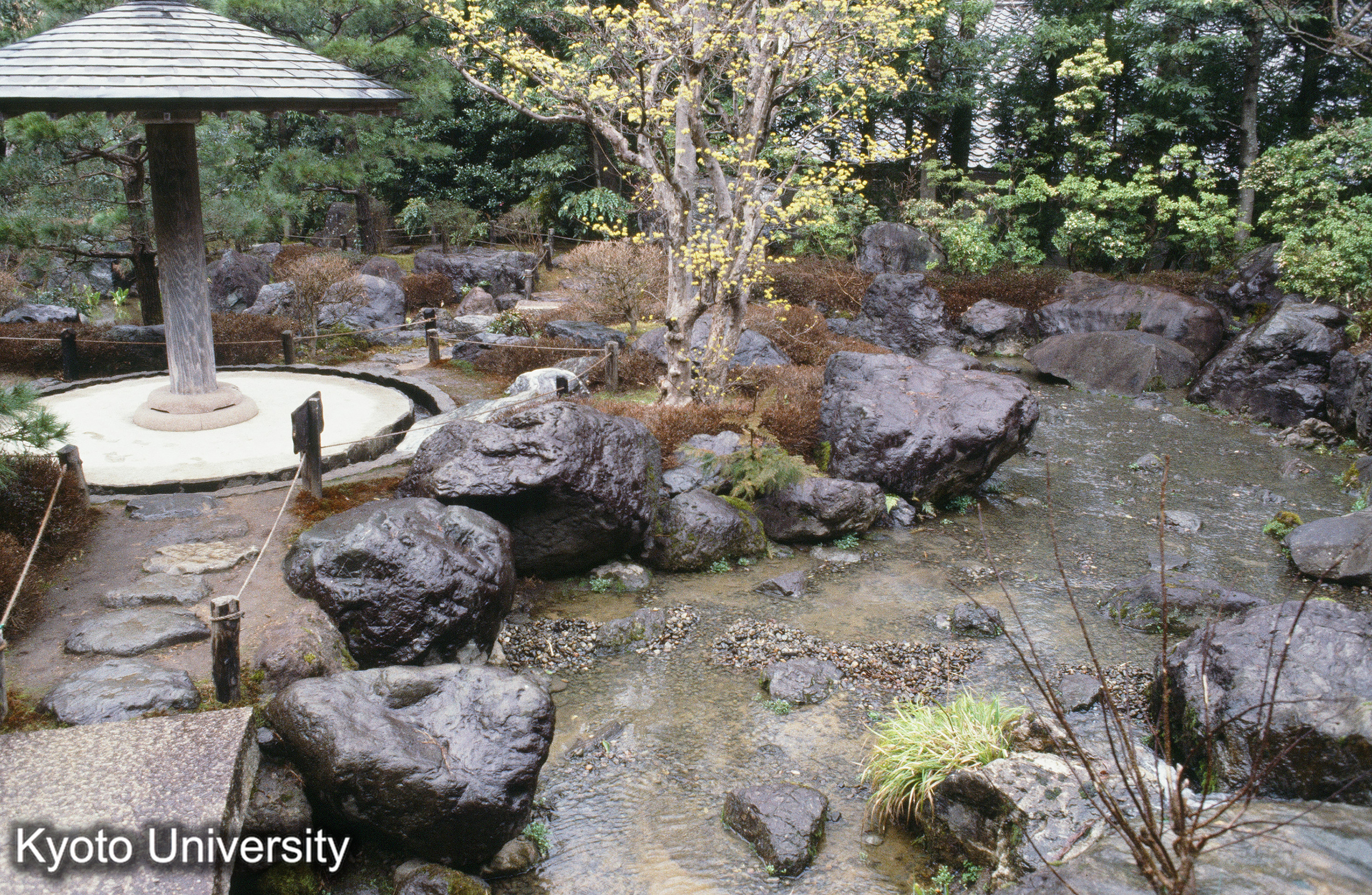 ［スライド］ (1)