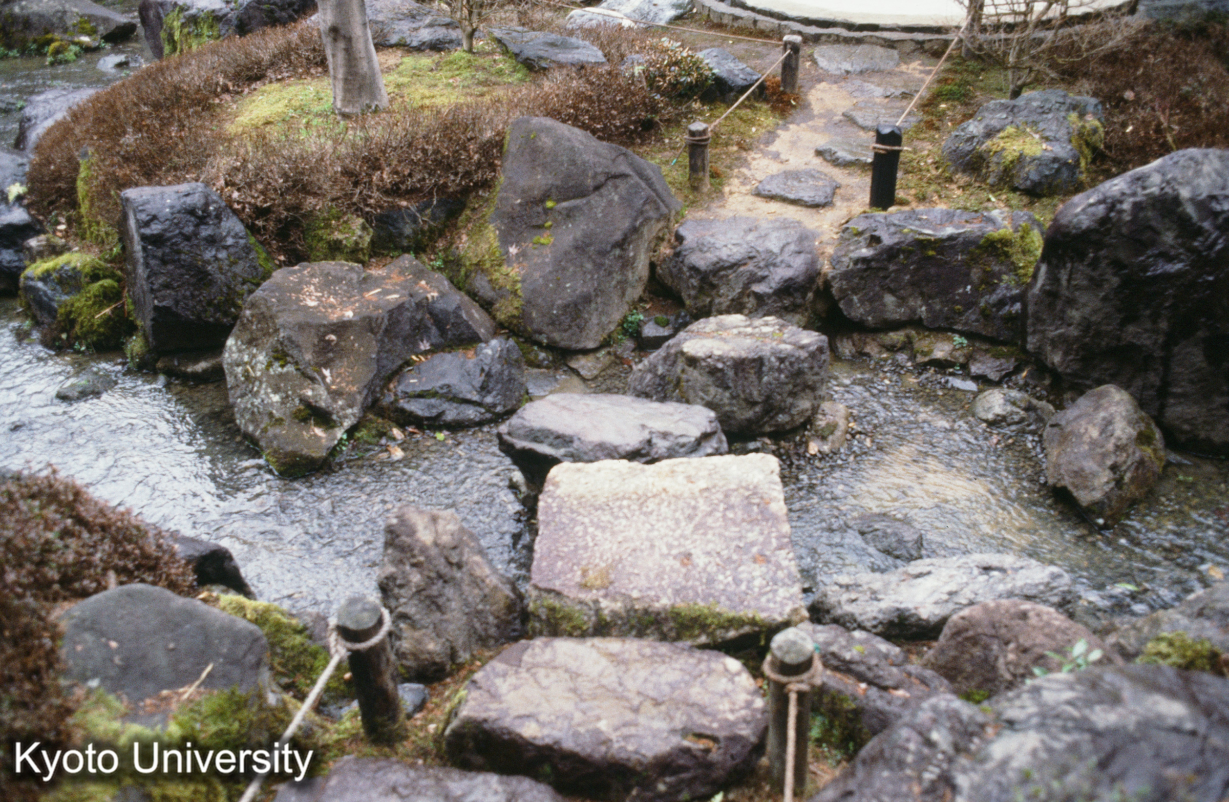 ［スライド］ (1)