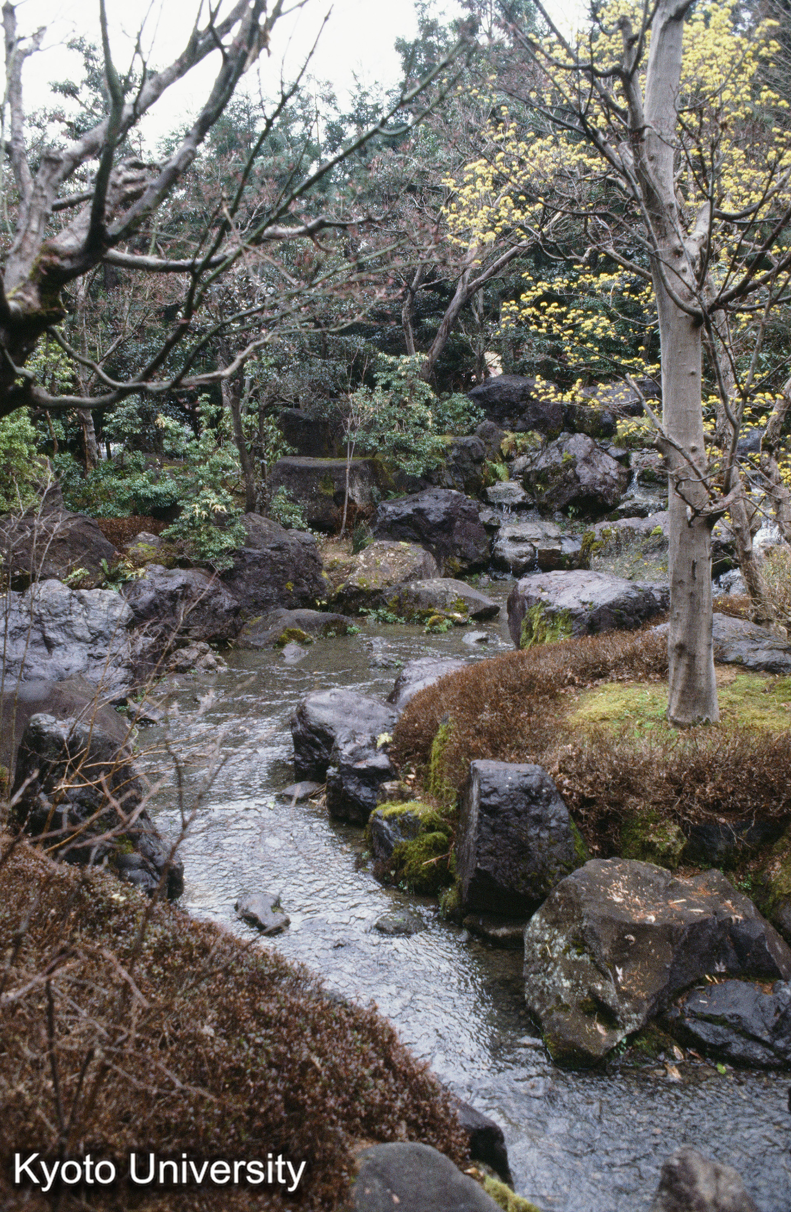 ［スライド］ (1)