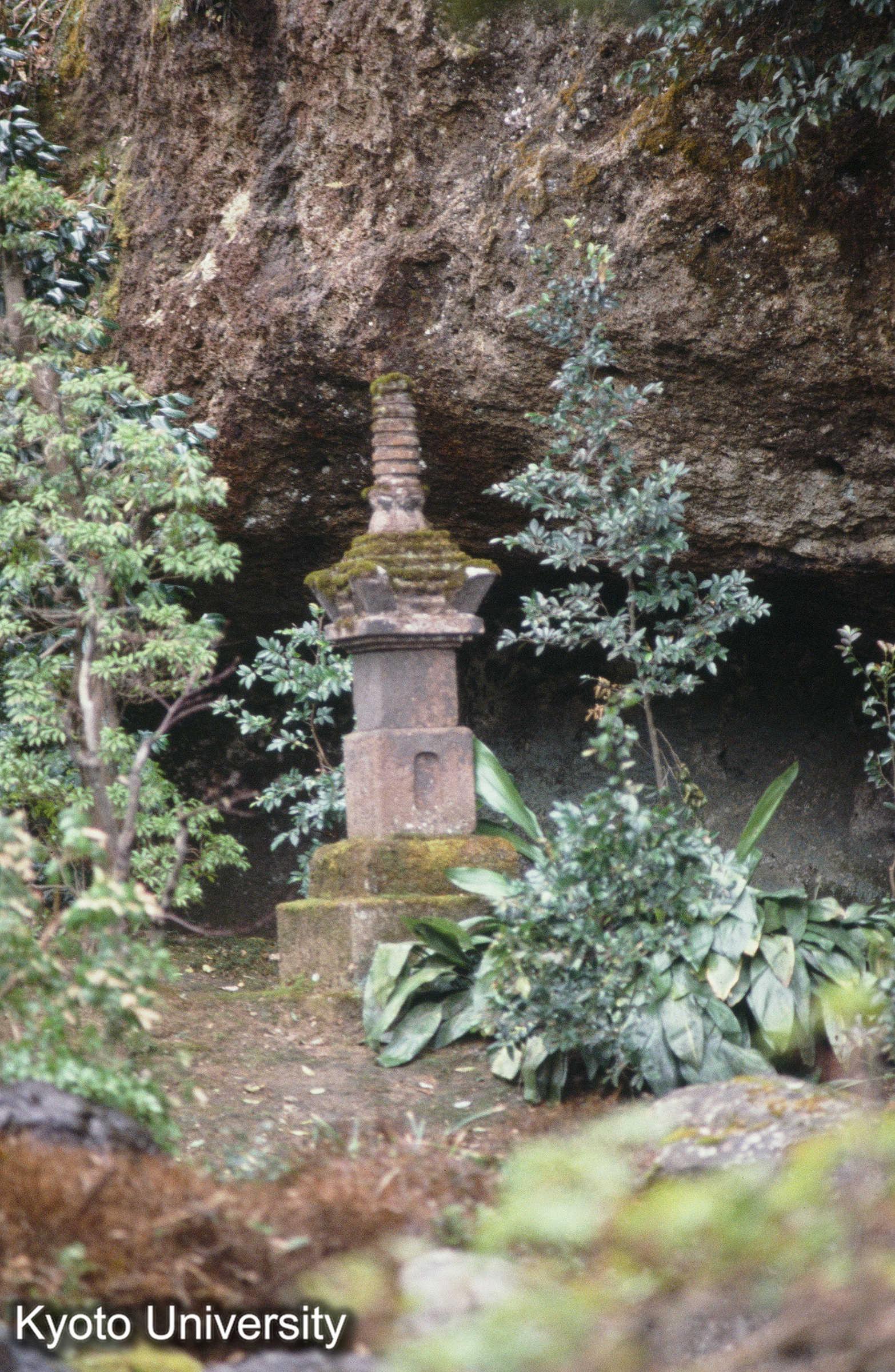 ［スライド］ (1)