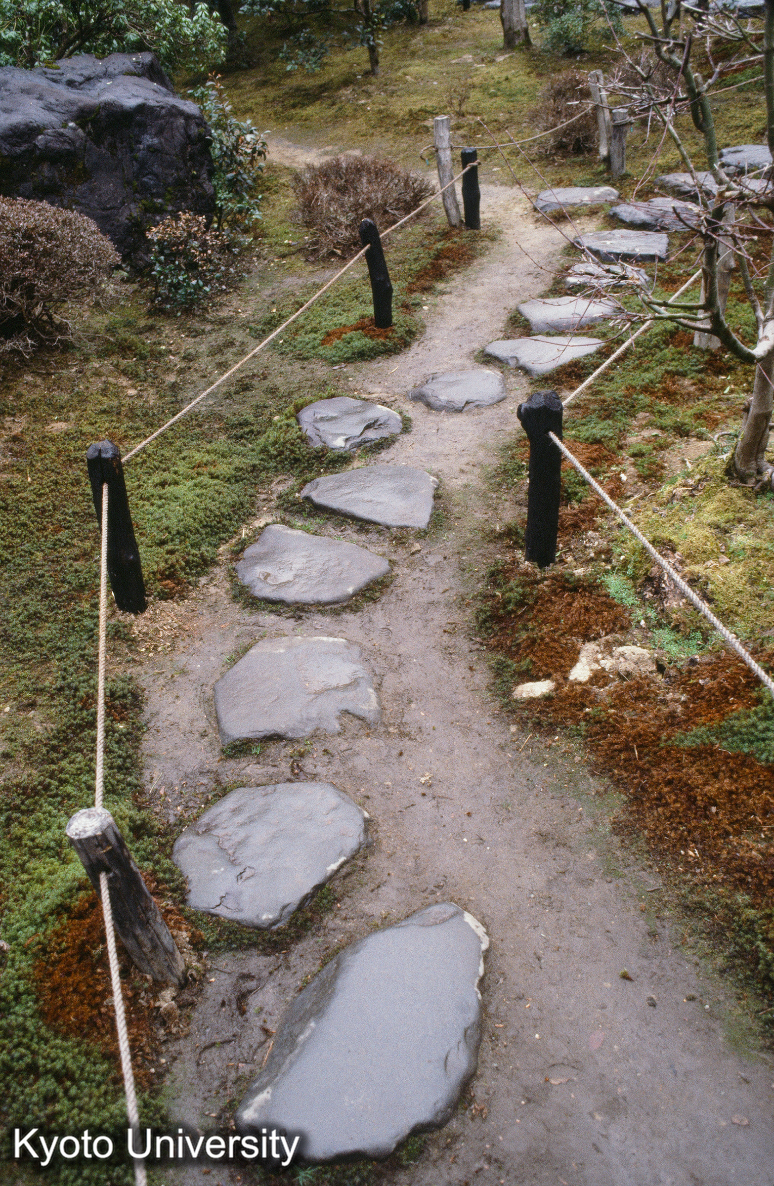 ［スライド］ (1)