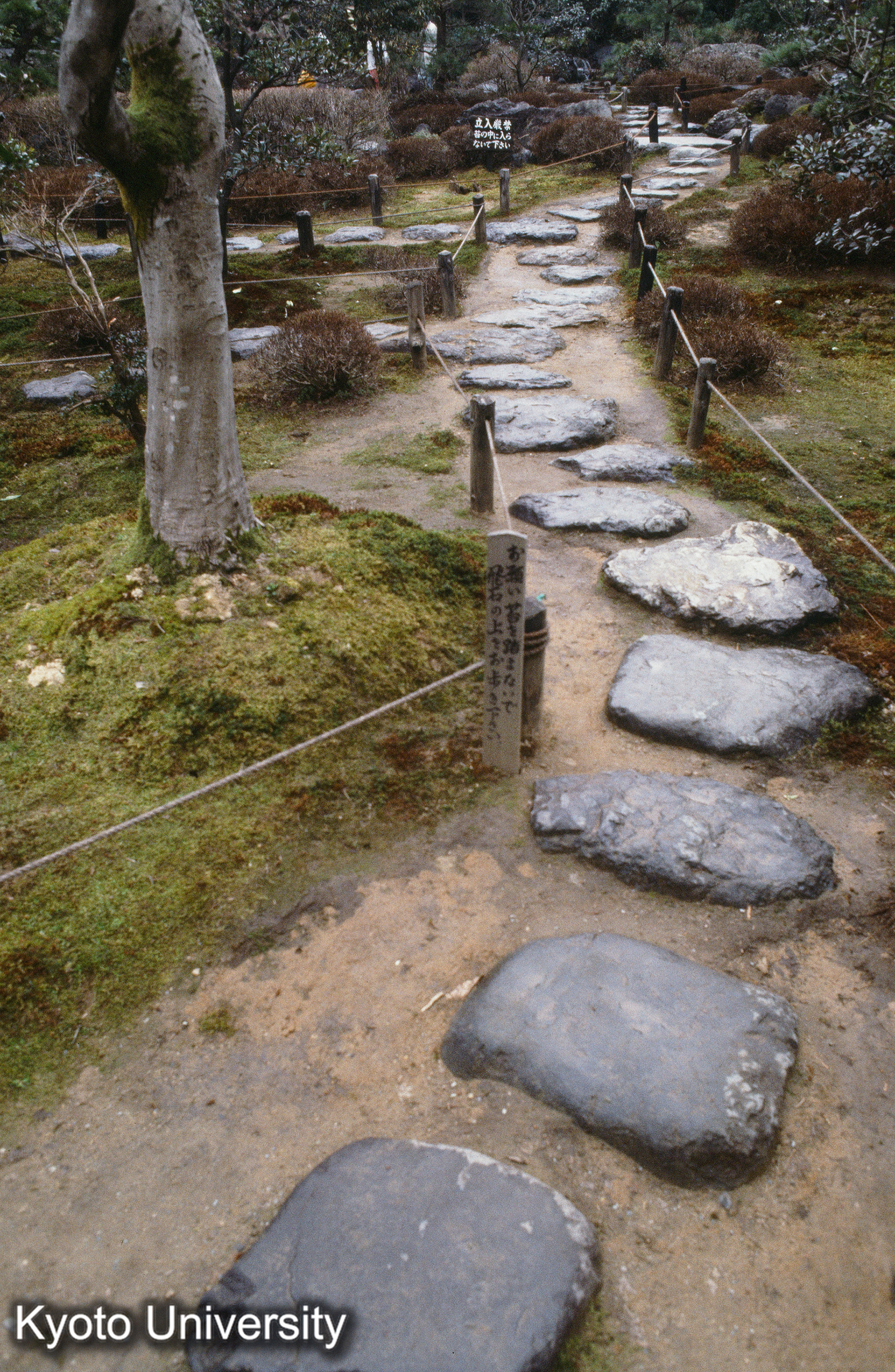 ［スライド］ (1)