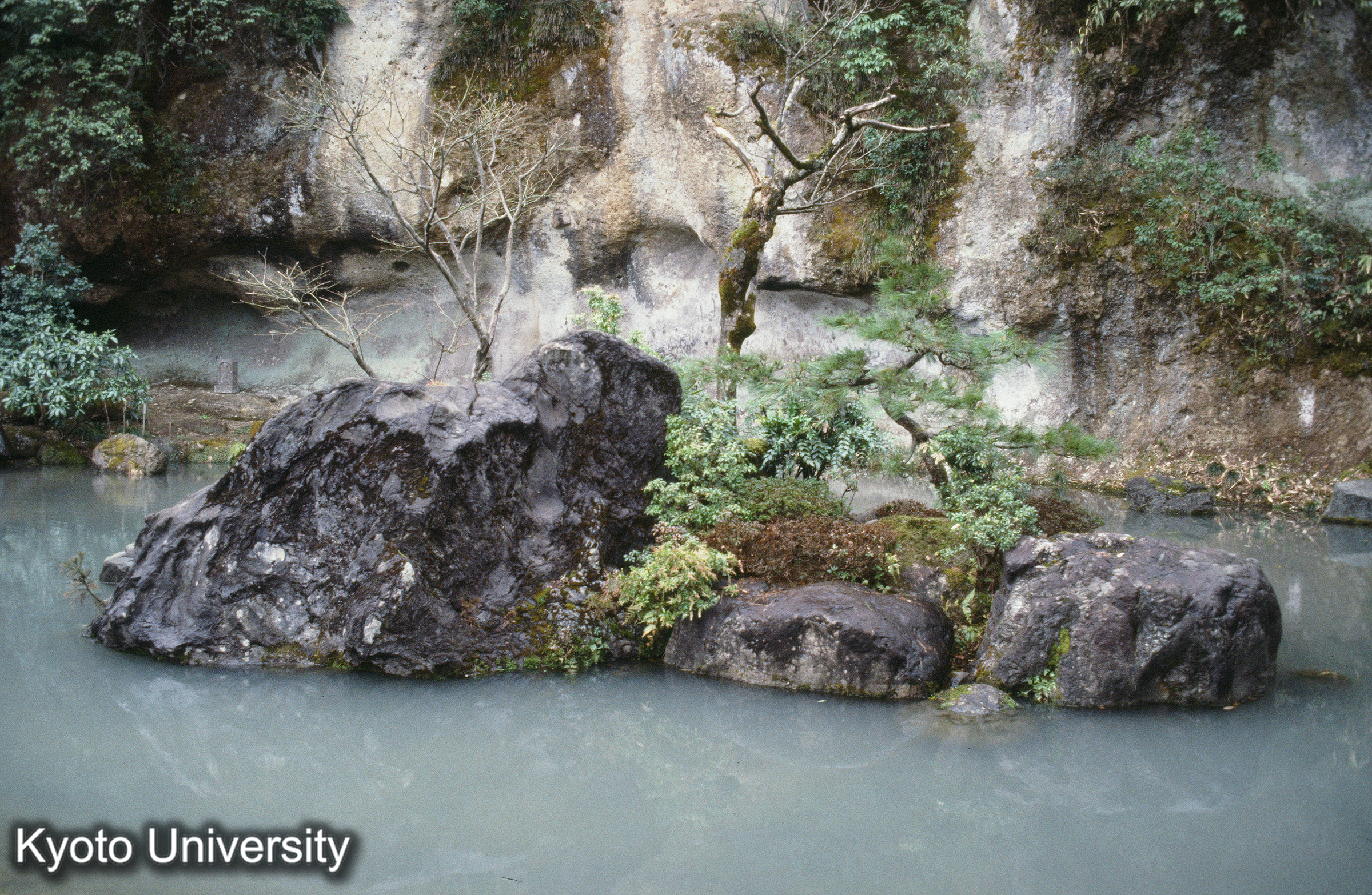 ［スライド］ (1)