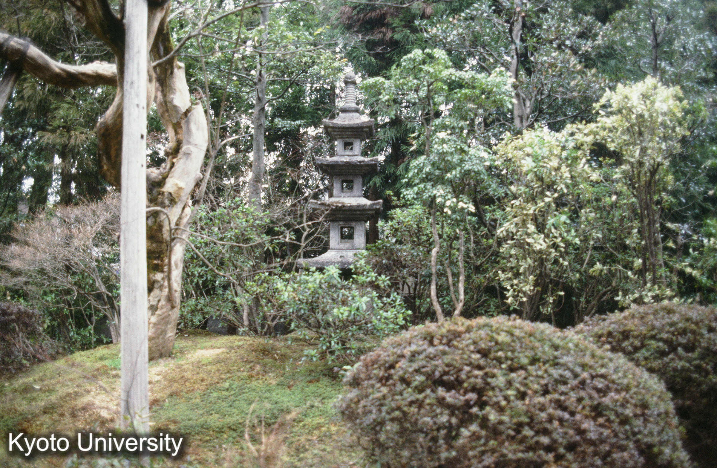 ［スライド］ (1)