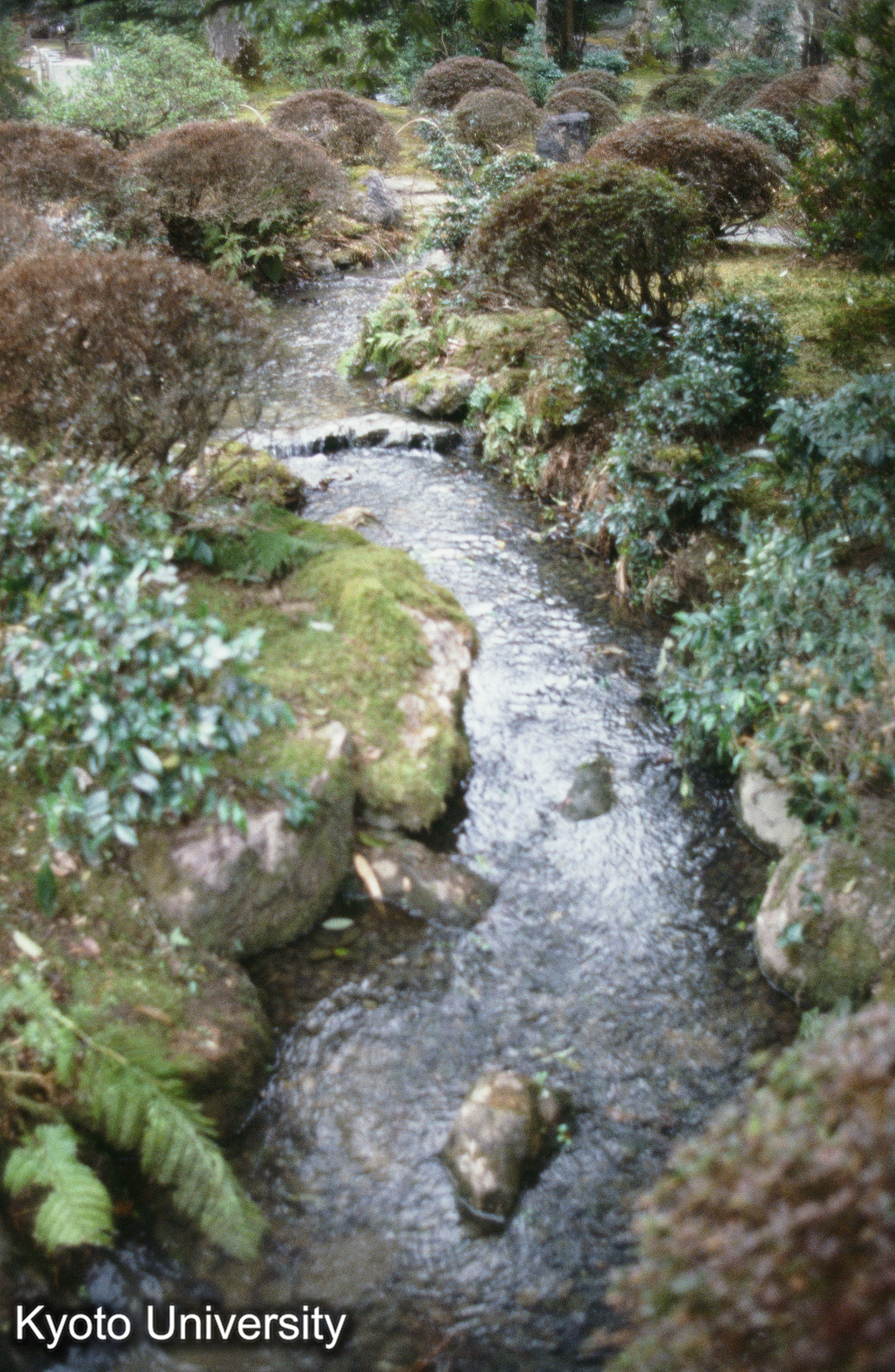 ［スライド］ (1)