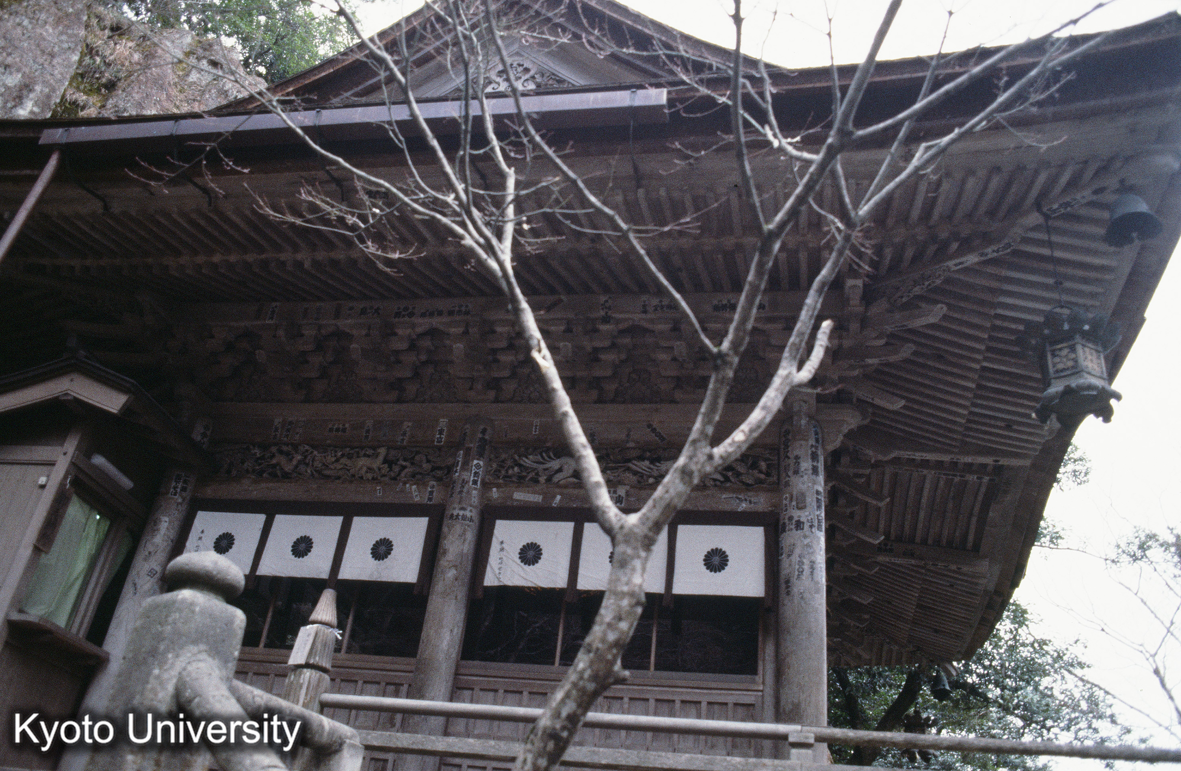 ［スライド］ (1)