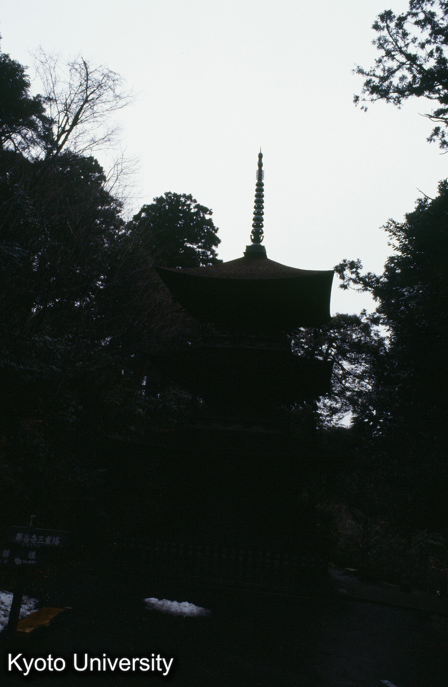 ［スライド］ (1)