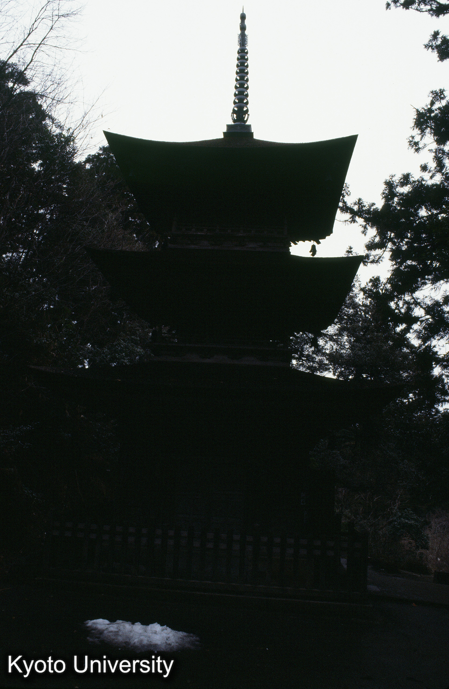 ［スライド］ (1)