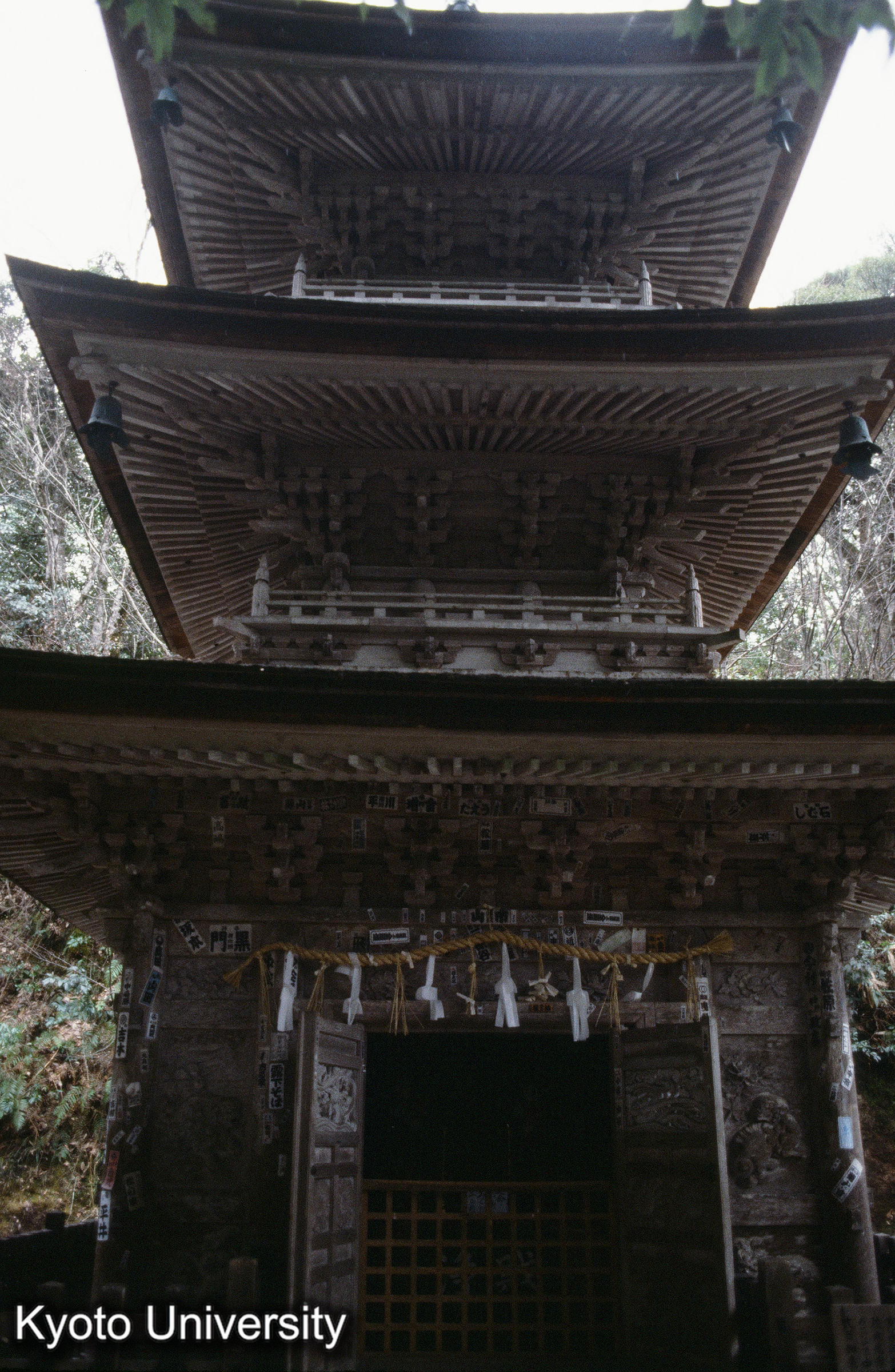 ［スライド］ (1)