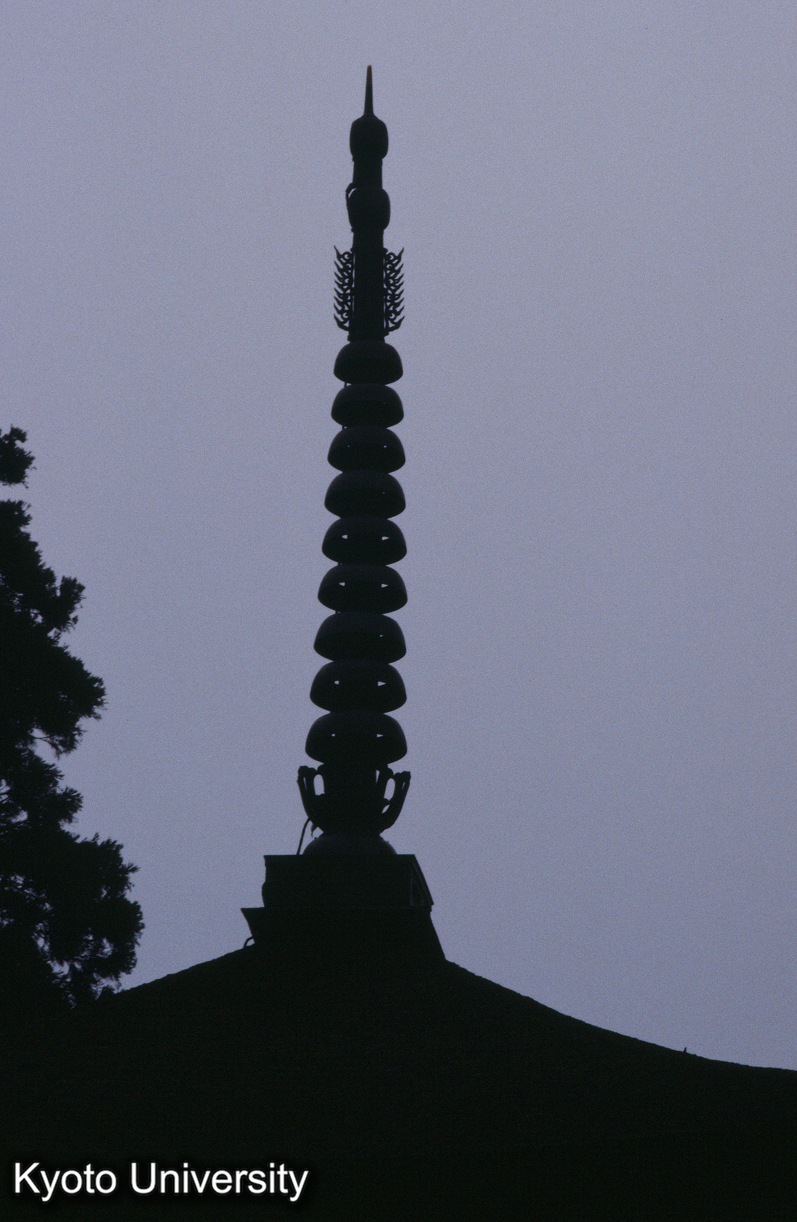 ［スライド］ (1)