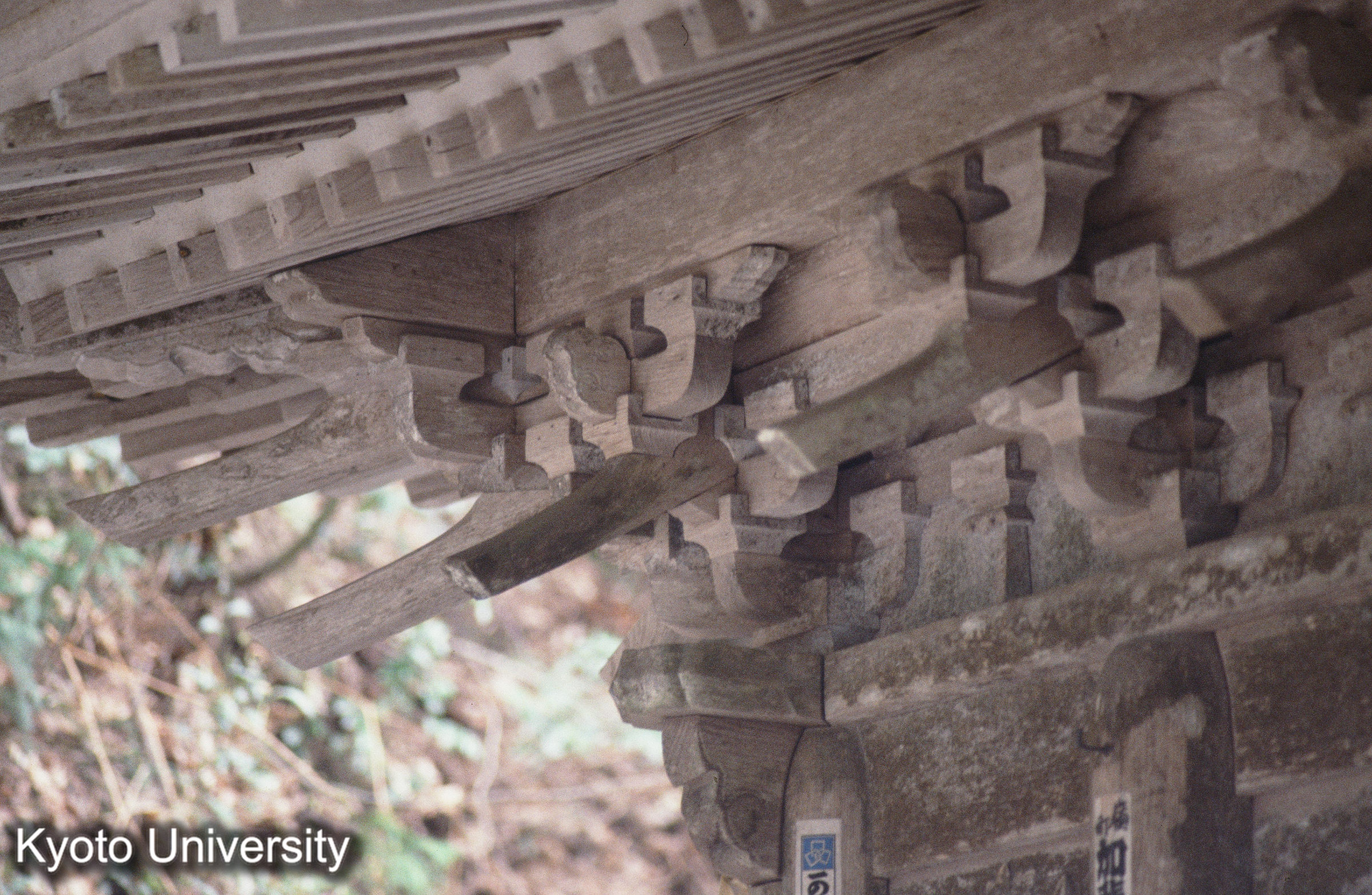 ［スライド］ (1)