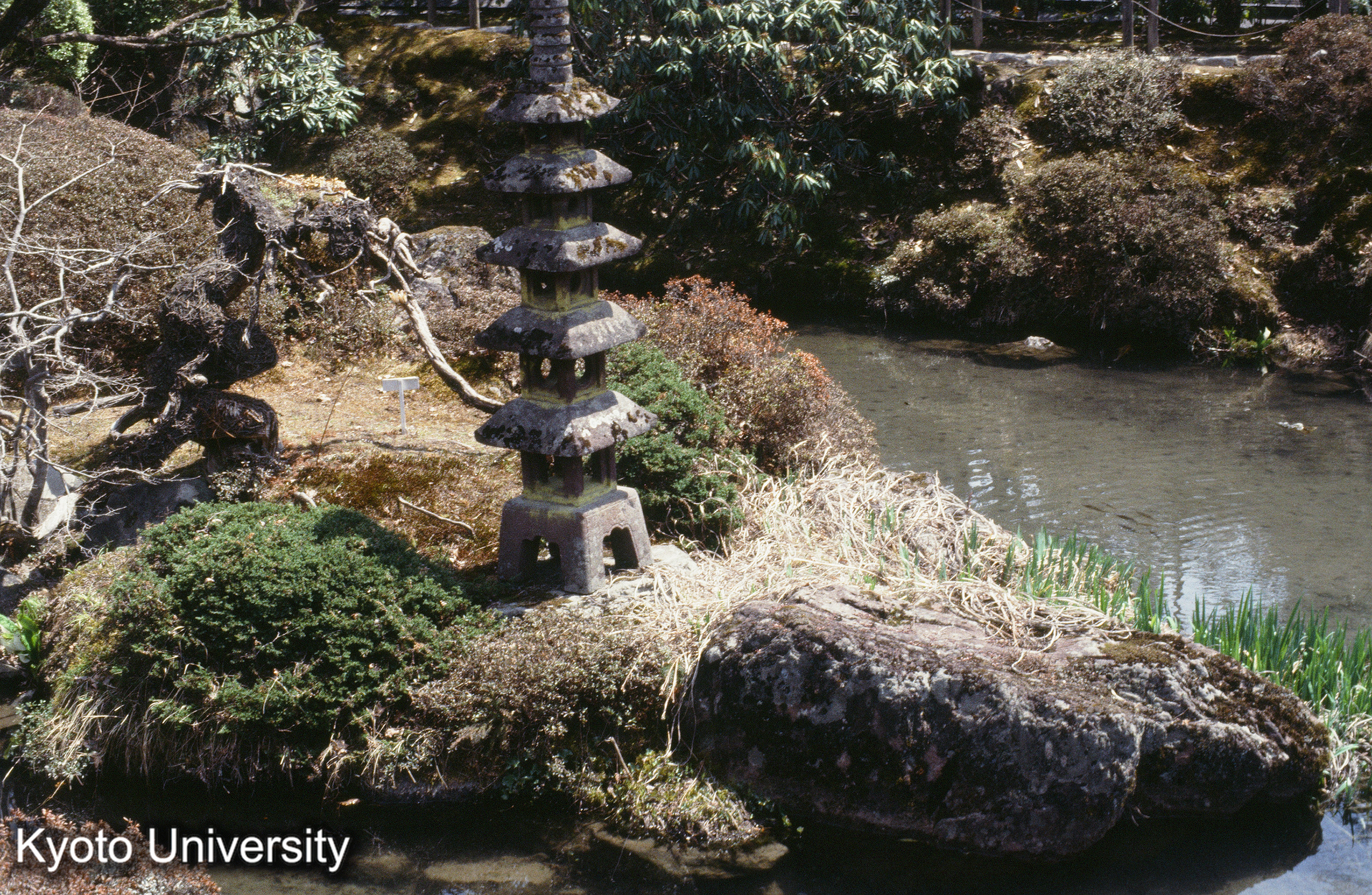 ［スライド］ (1)