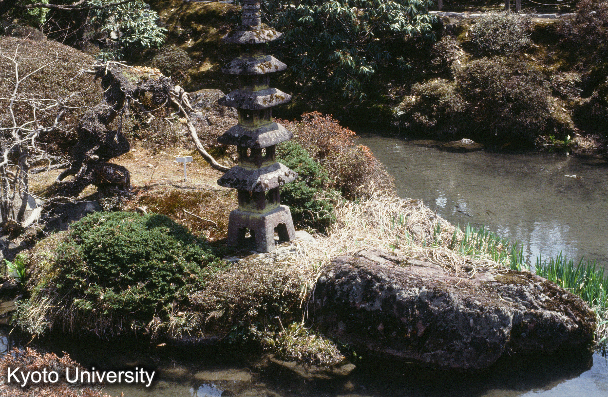 ［スライド］ (1)