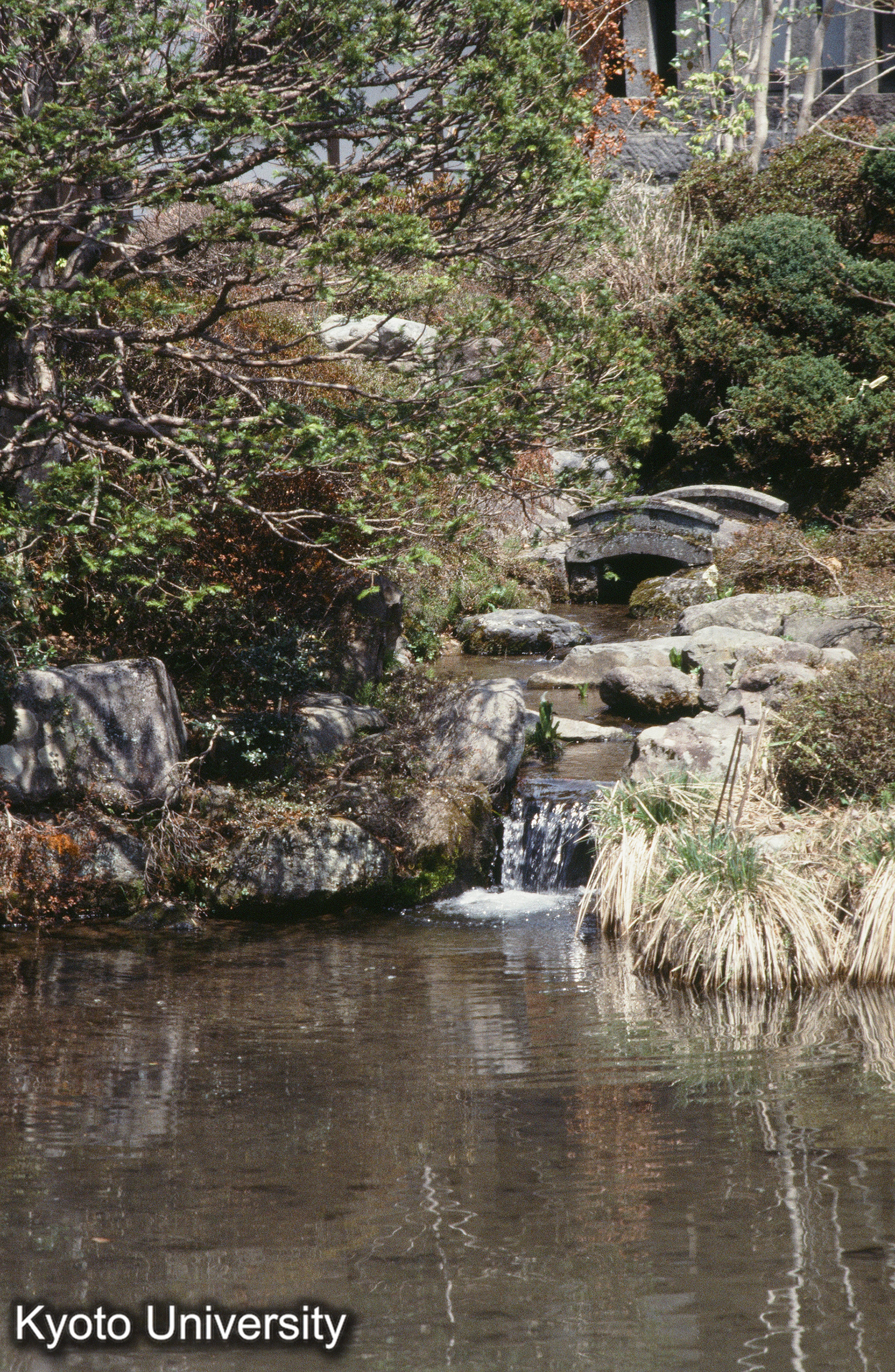 ［スライド］ (1)