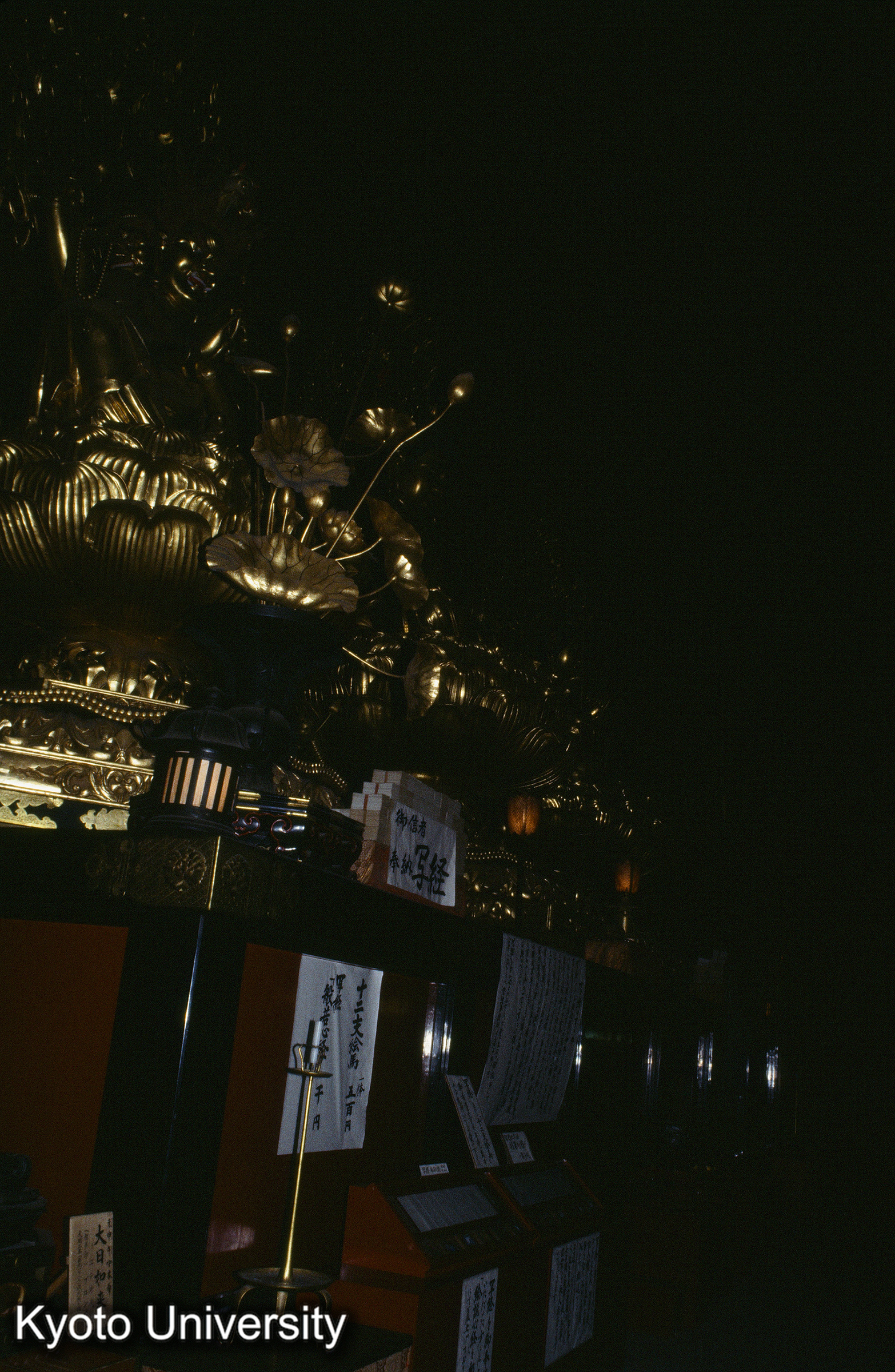 ［スライド］ (1)