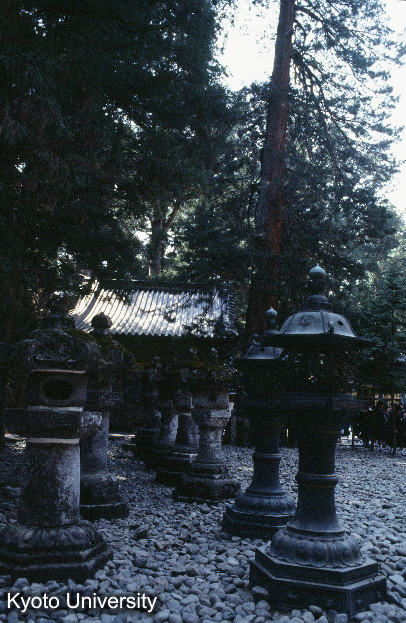 ［スライド］ (1)