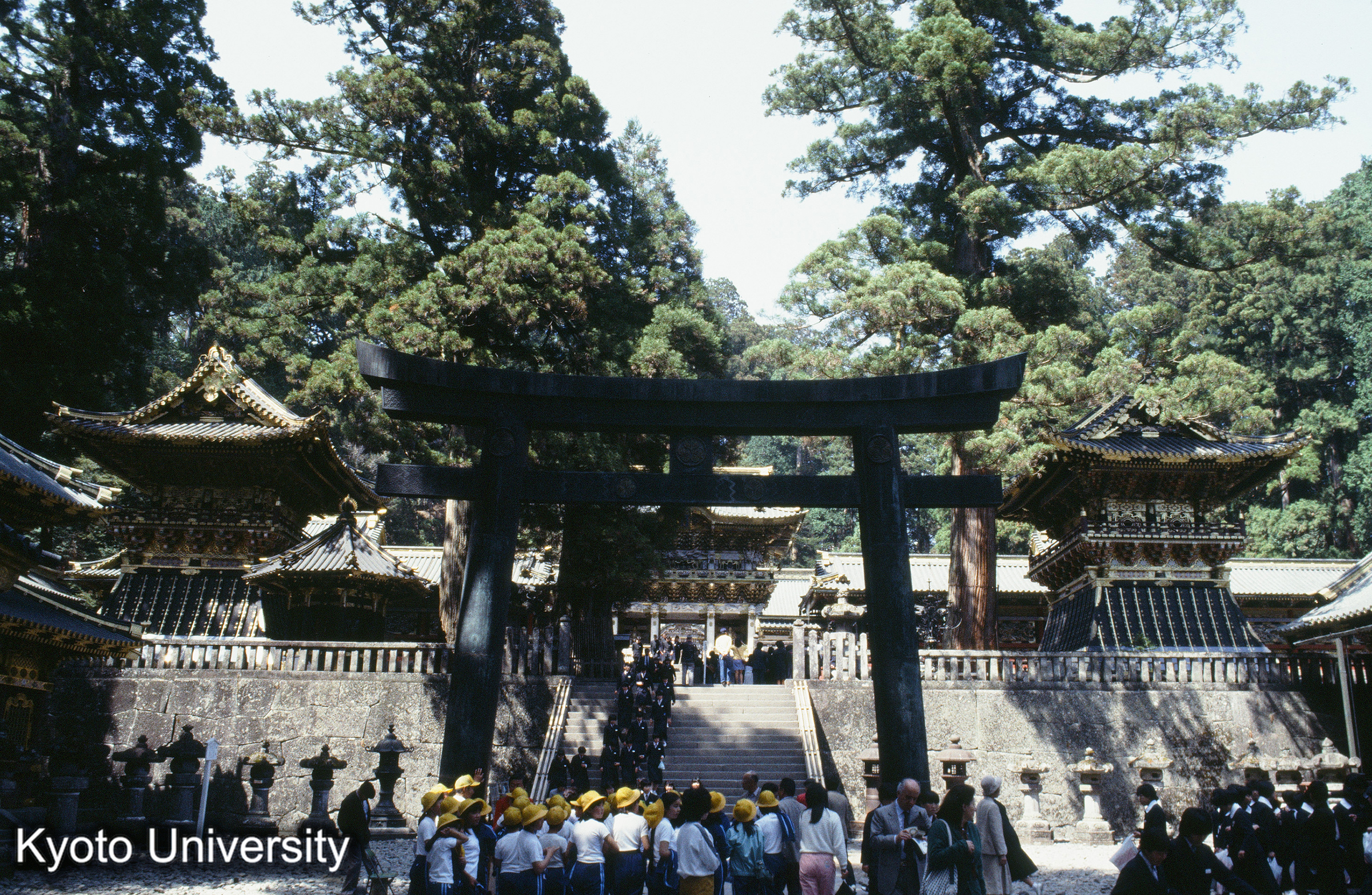 ［スライド］ (1)